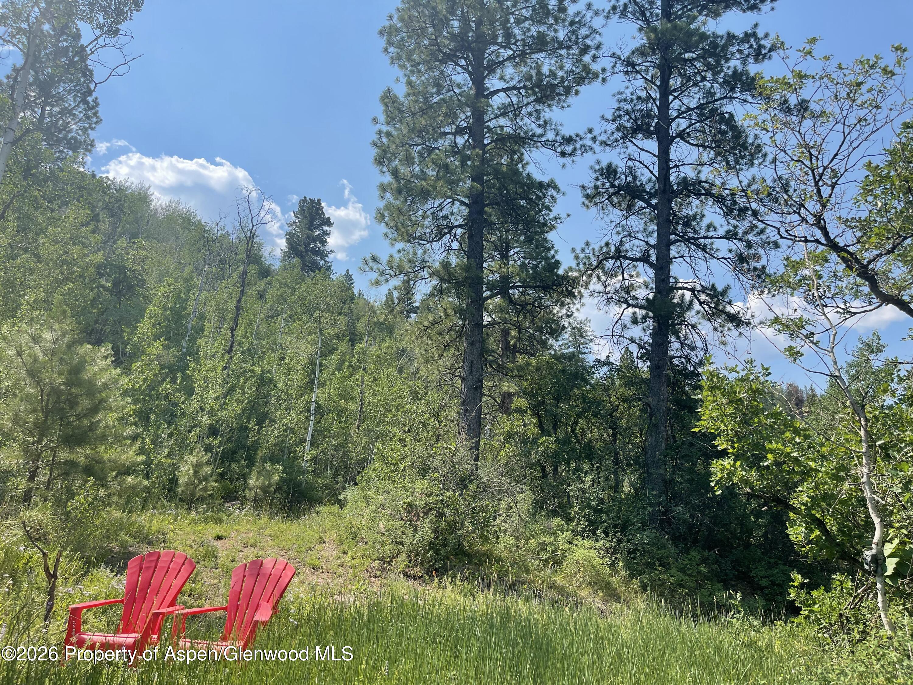 315 Fire House Road Redstone CO 81623