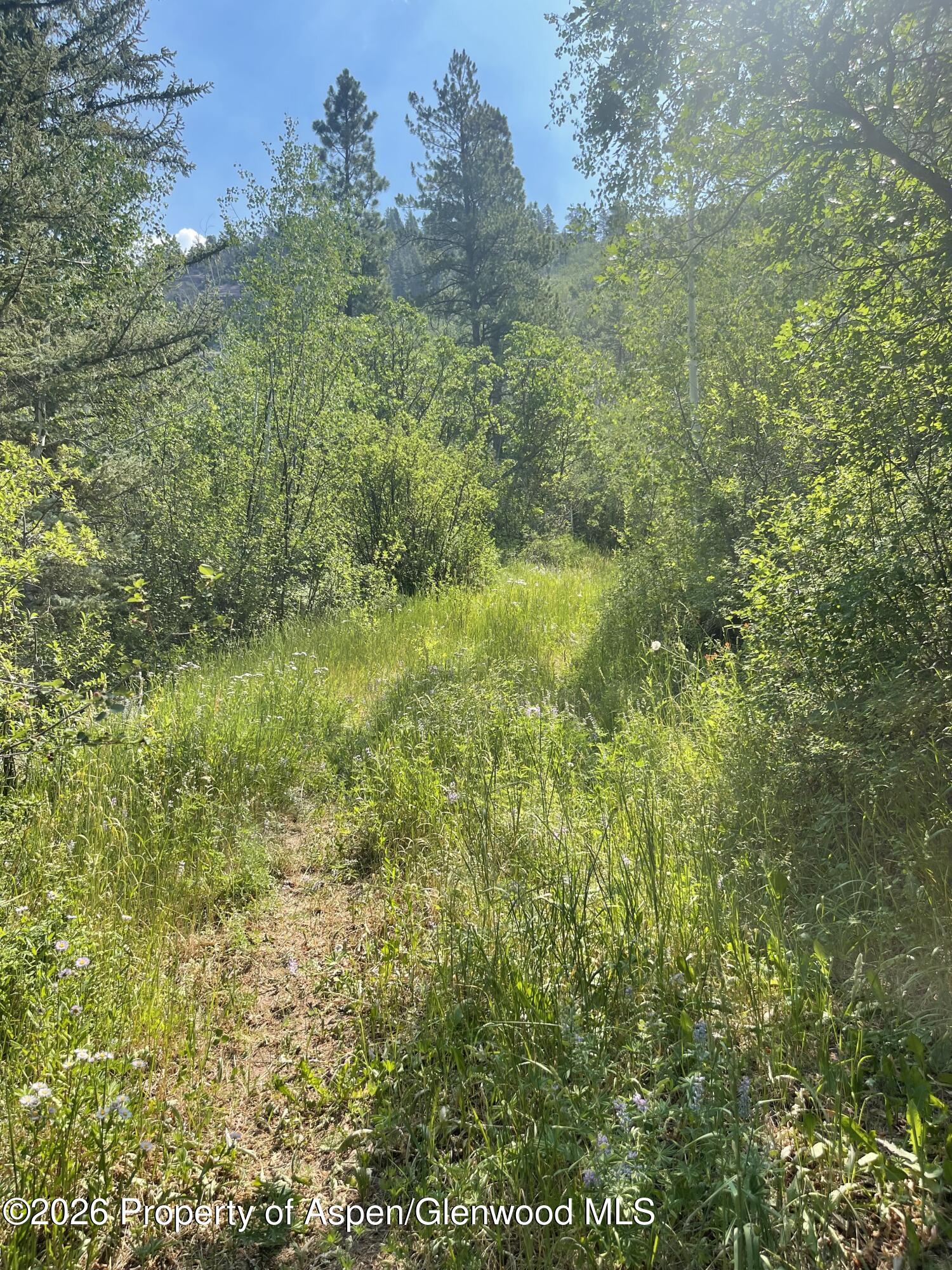 315 Fire House Road Redstone CO 81623