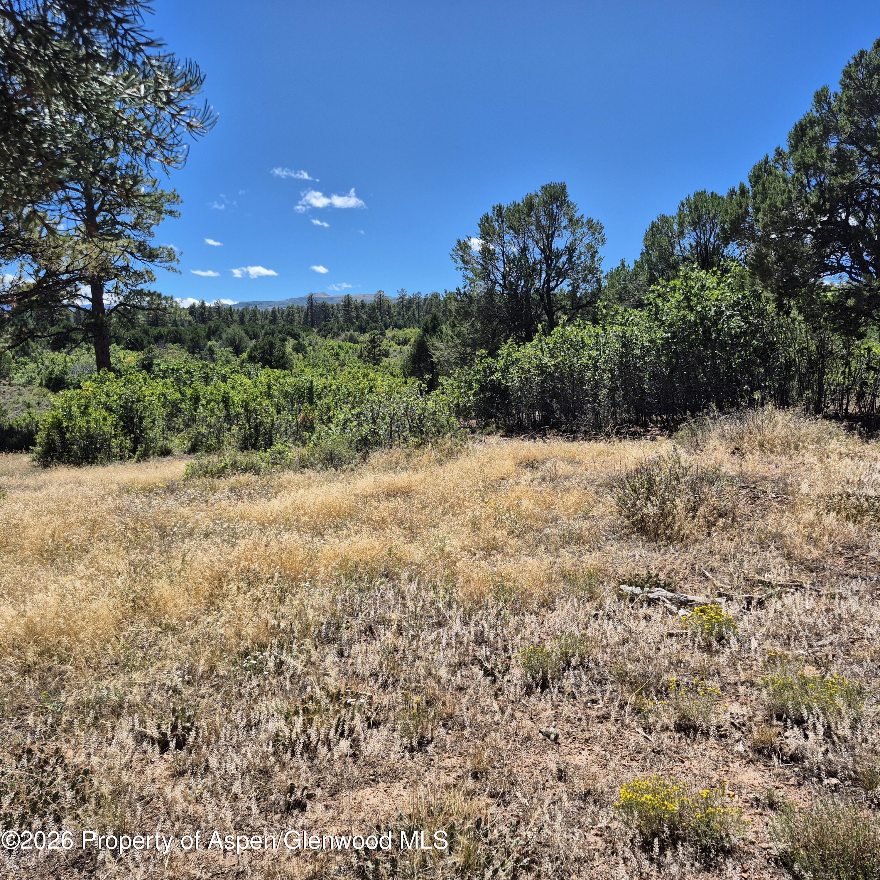 1620 Wildcat Canyon Road Montrose CO 81403