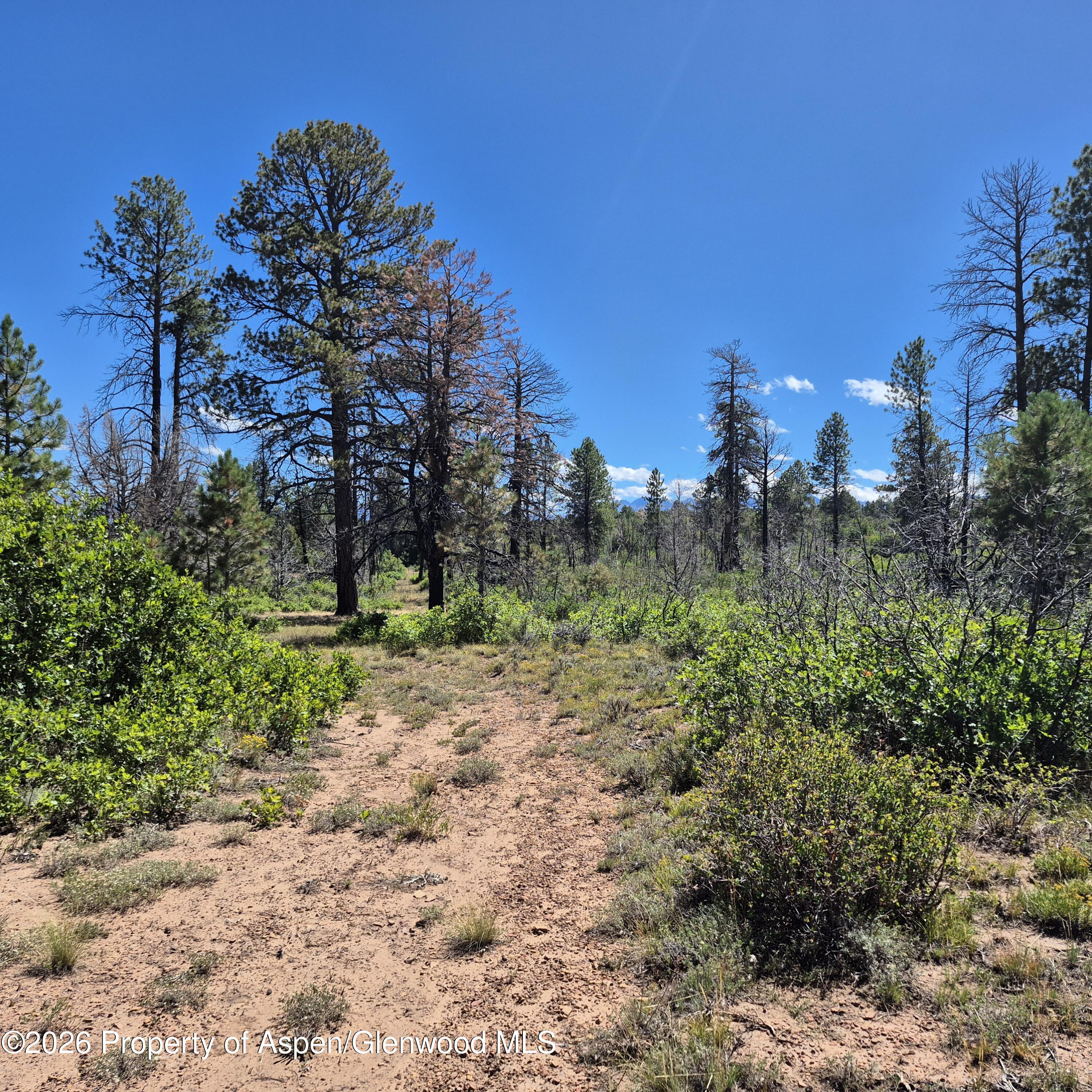 1620 Wildcat Canyon Road Montrose CO 81403