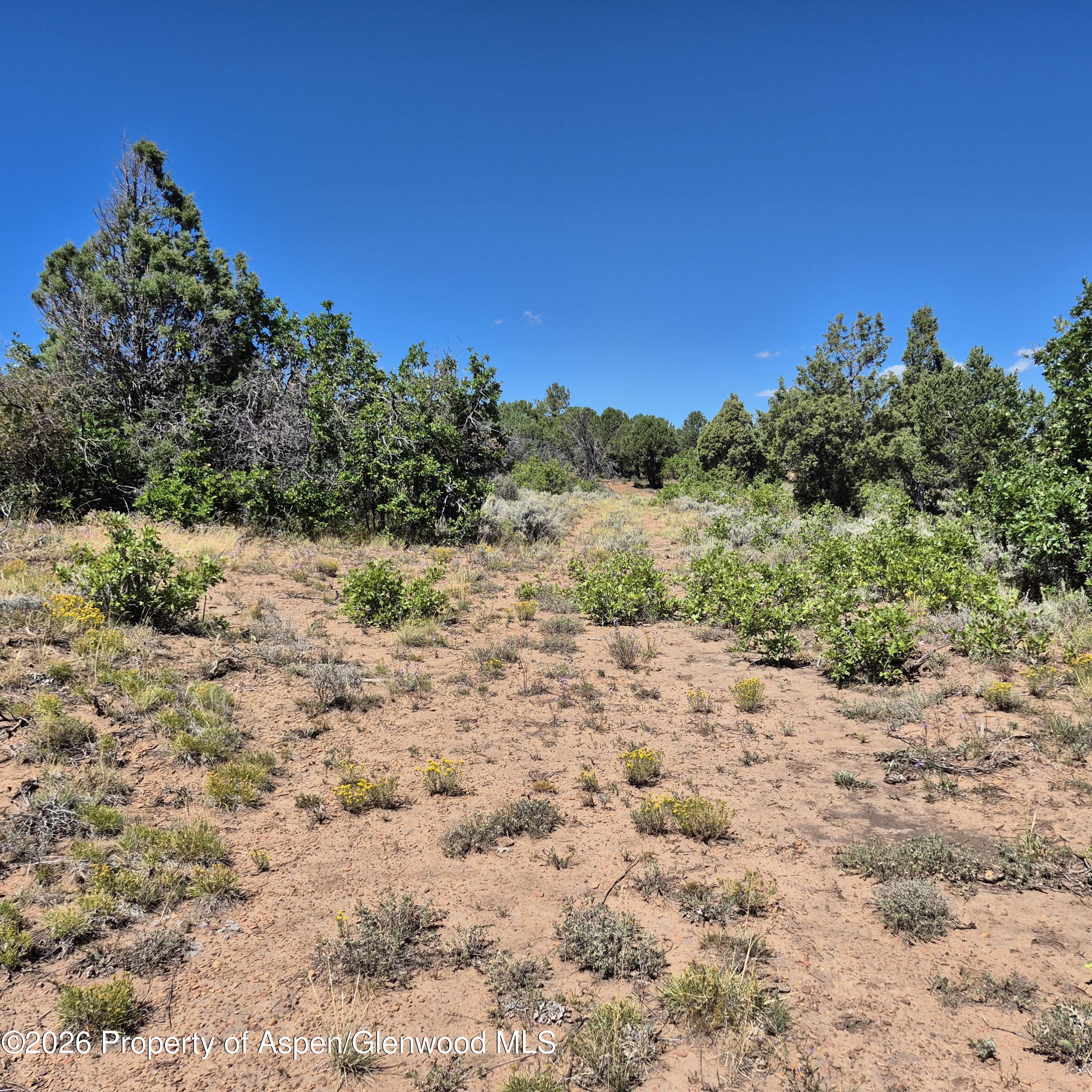 1620 Wildcat Canyon Road Montrose CO 81403
