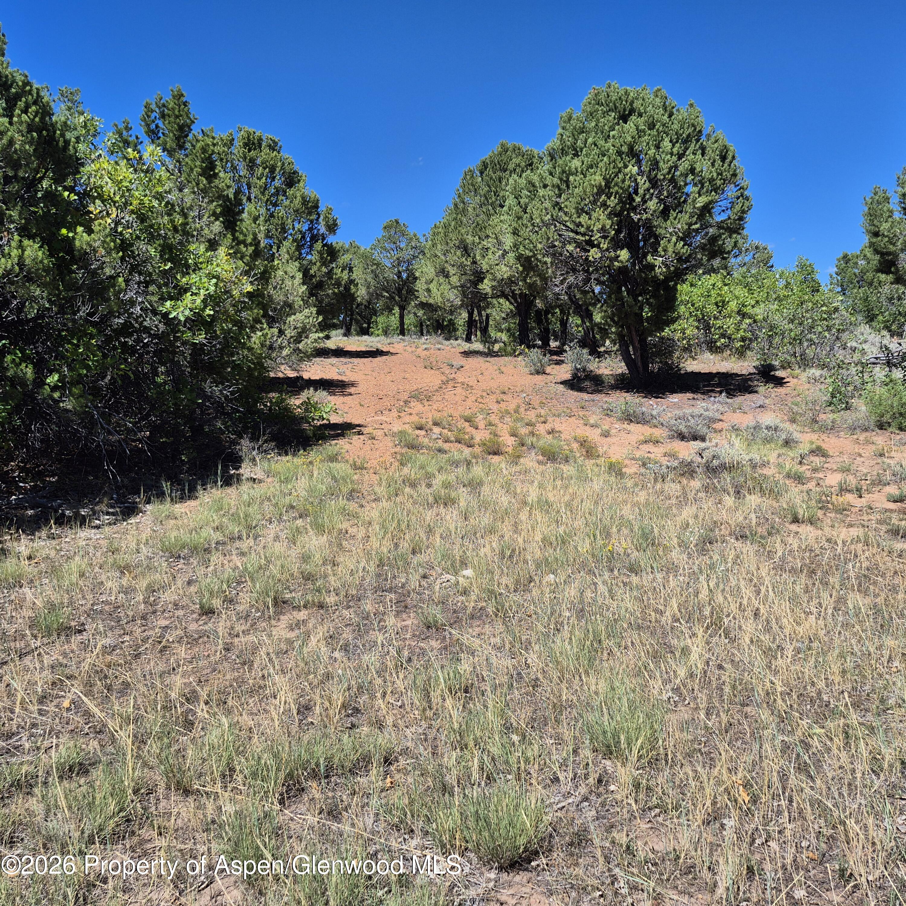 1620 Wildcat Canyon Road Montrose CO 81403