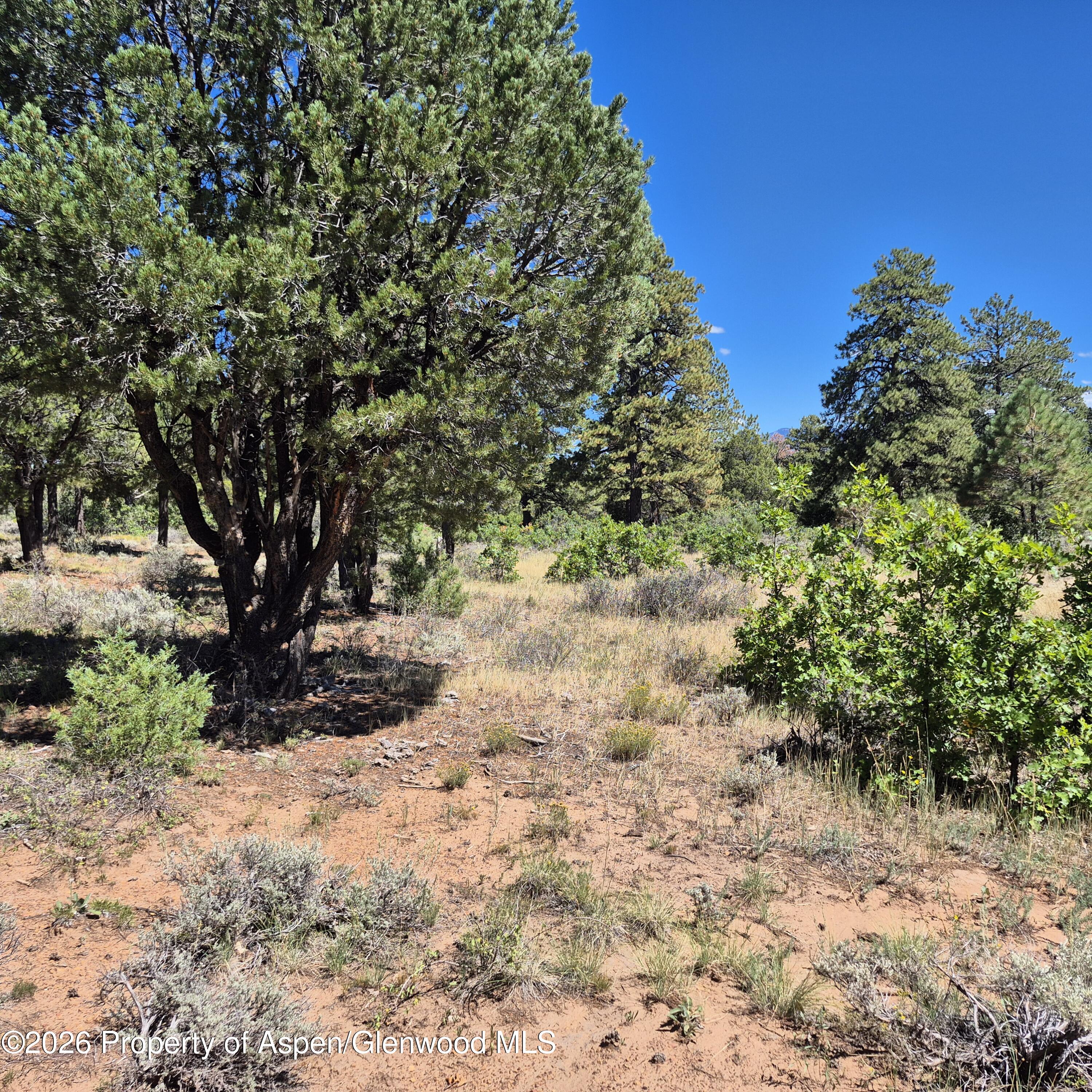 1620 Wildcat Canyon Road Montrose CO 81403