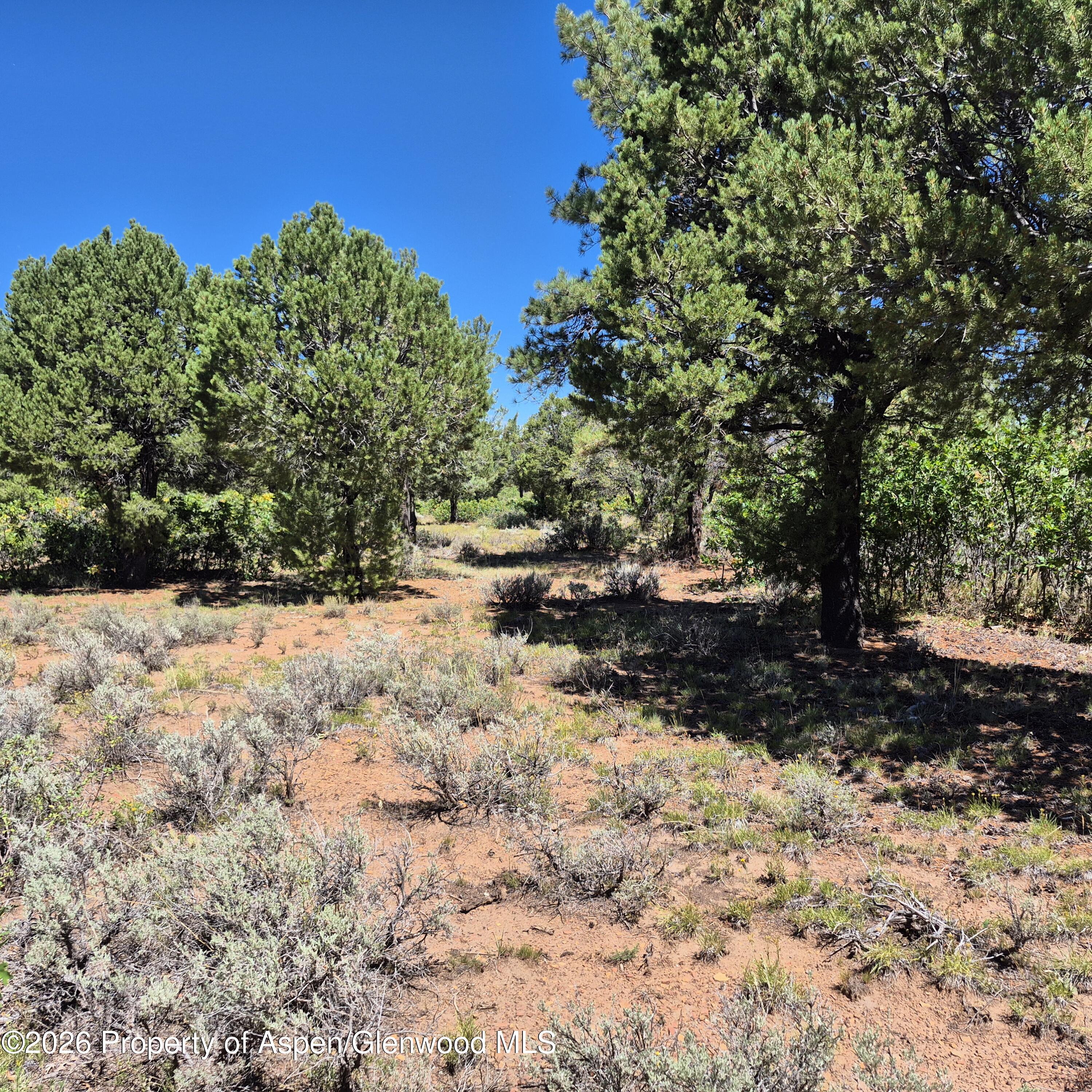 1620 Wildcat Canyon Road Montrose CO 81403