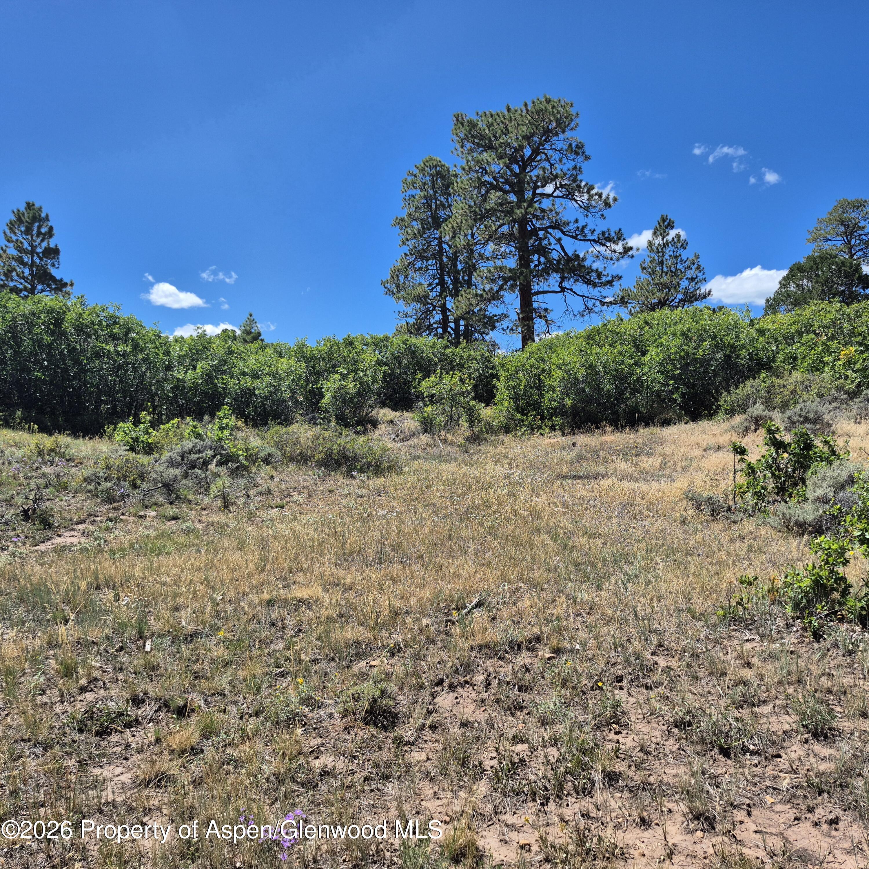 1620 Wildcat Canyon Road Montrose CO 81403