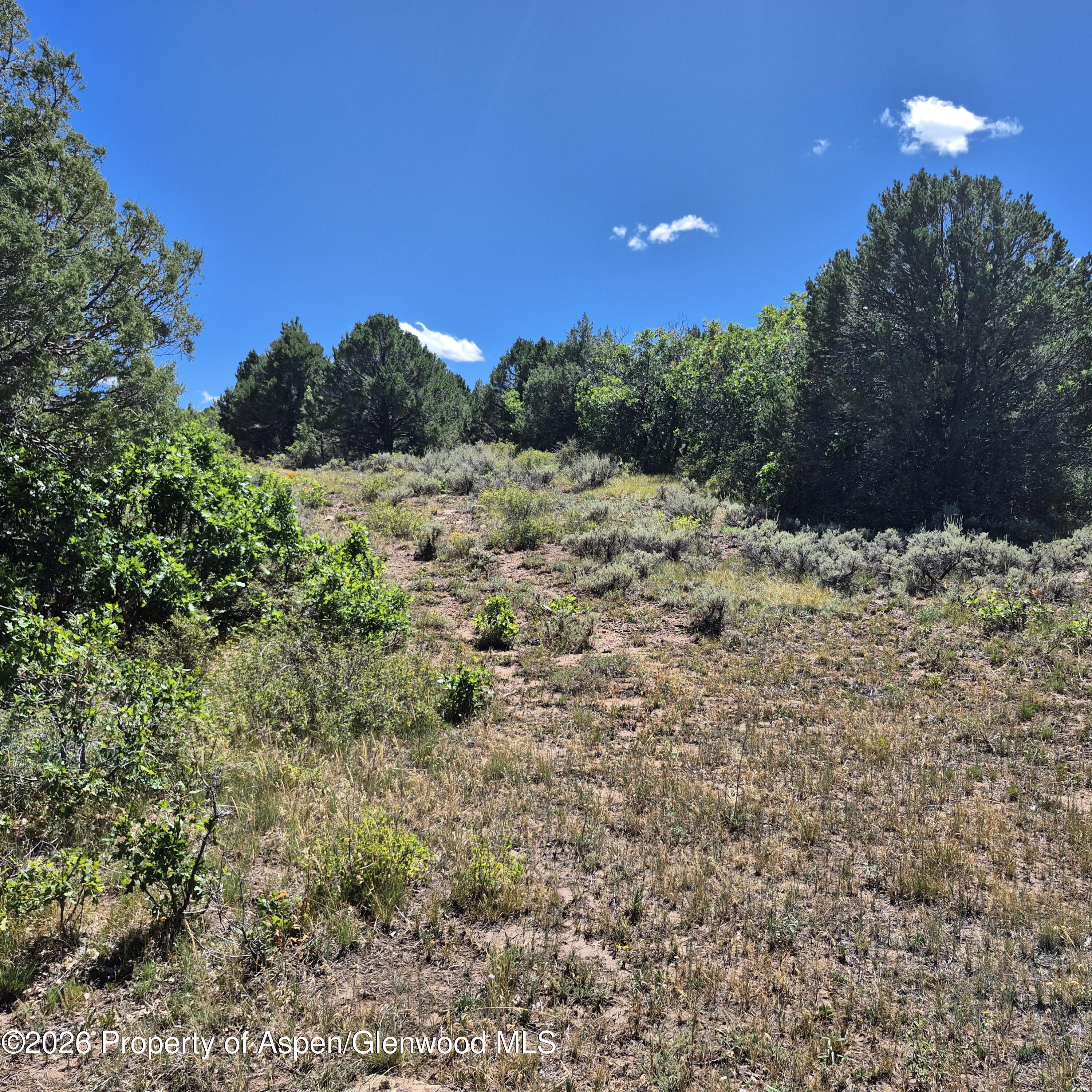 1620 Wildcat Canyon Road Montrose CO 81403