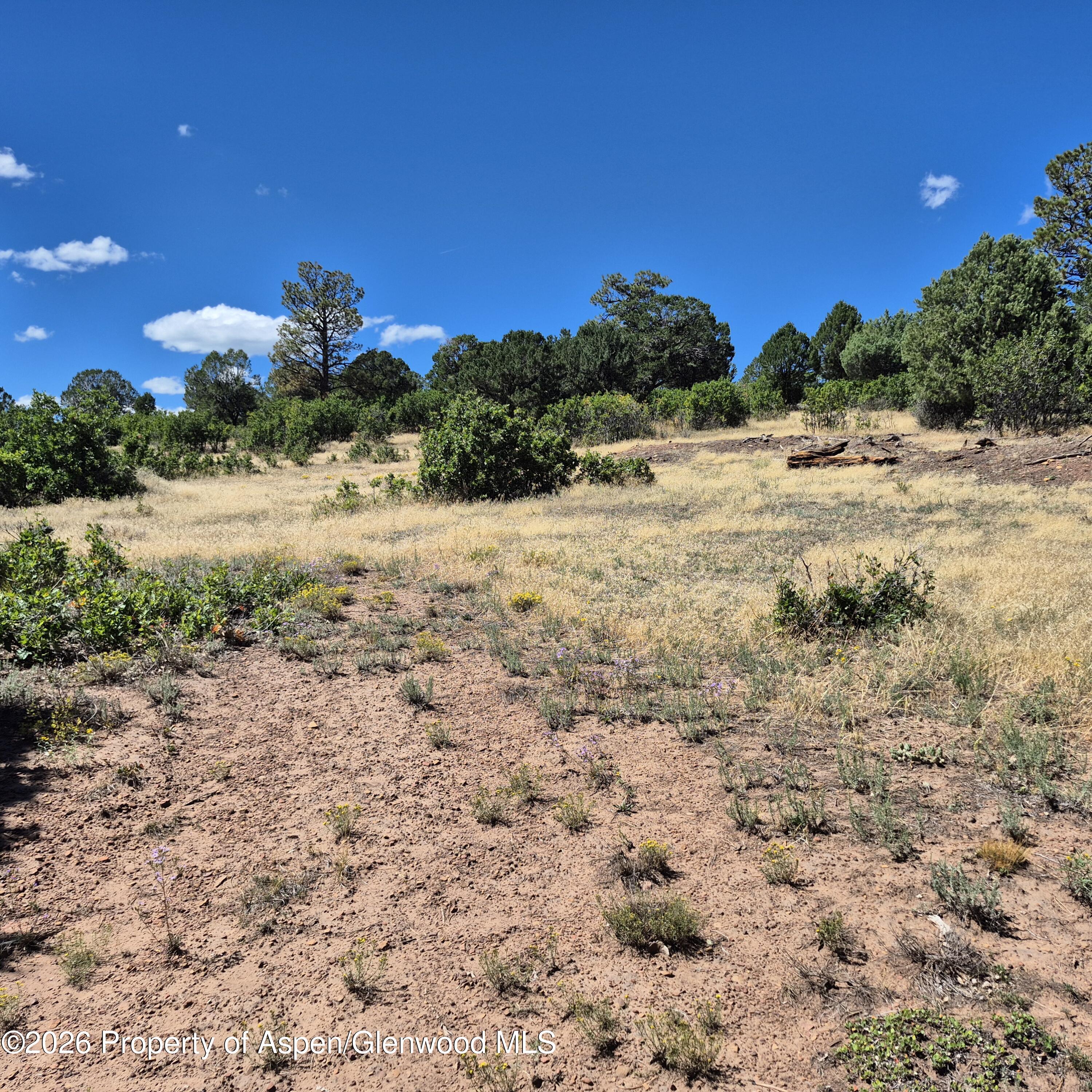 1620 Wildcat Canyon Road Montrose CO 81403