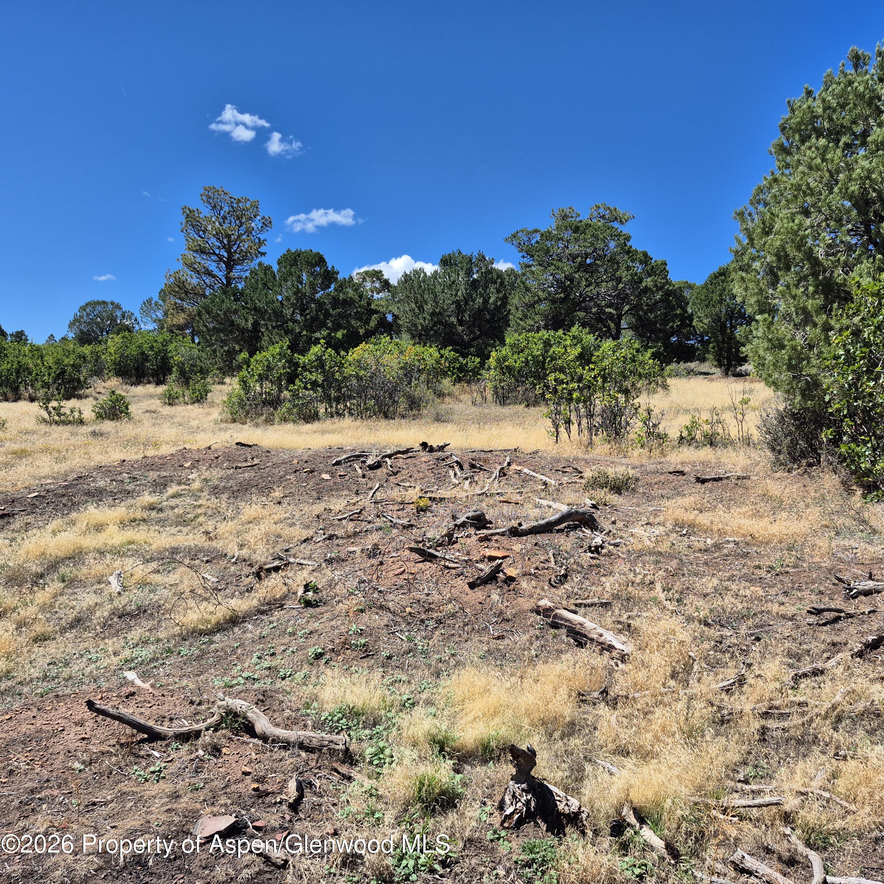 1620 Wildcat Canyon Road Montrose CO 81403