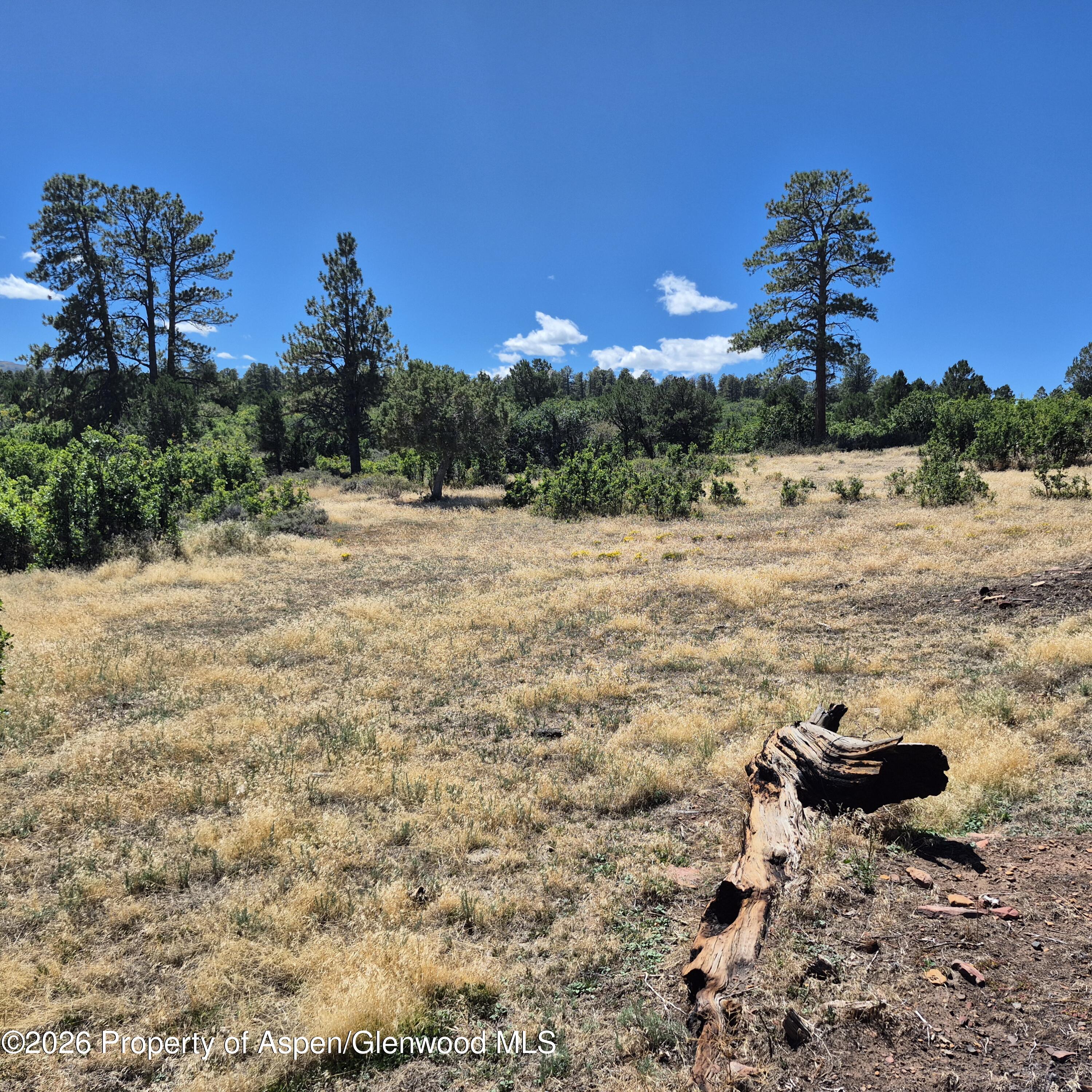 1620 Wildcat Canyon Road Montrose CO 81403