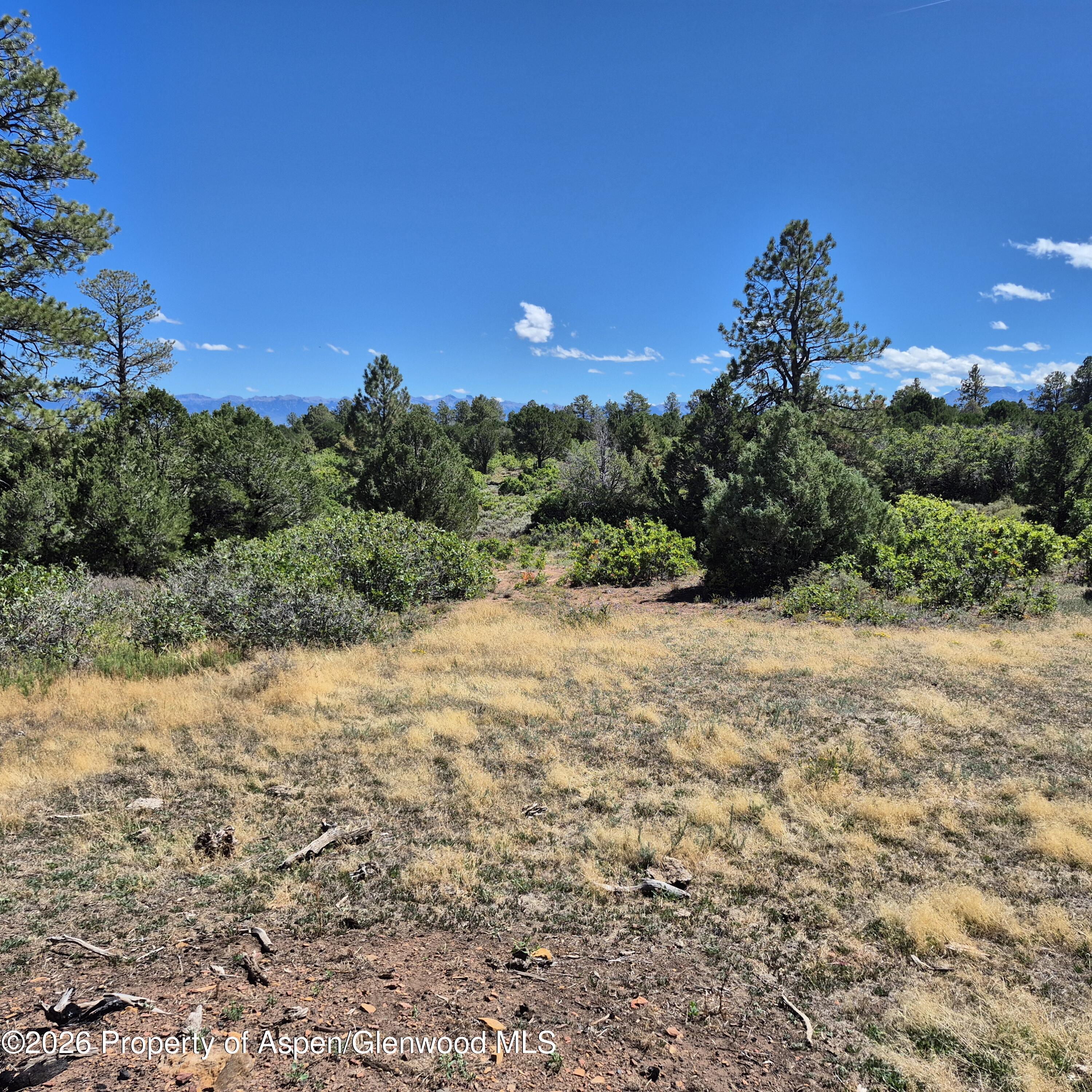 1620 Wildcat Canyon Road Montrose CO 81403