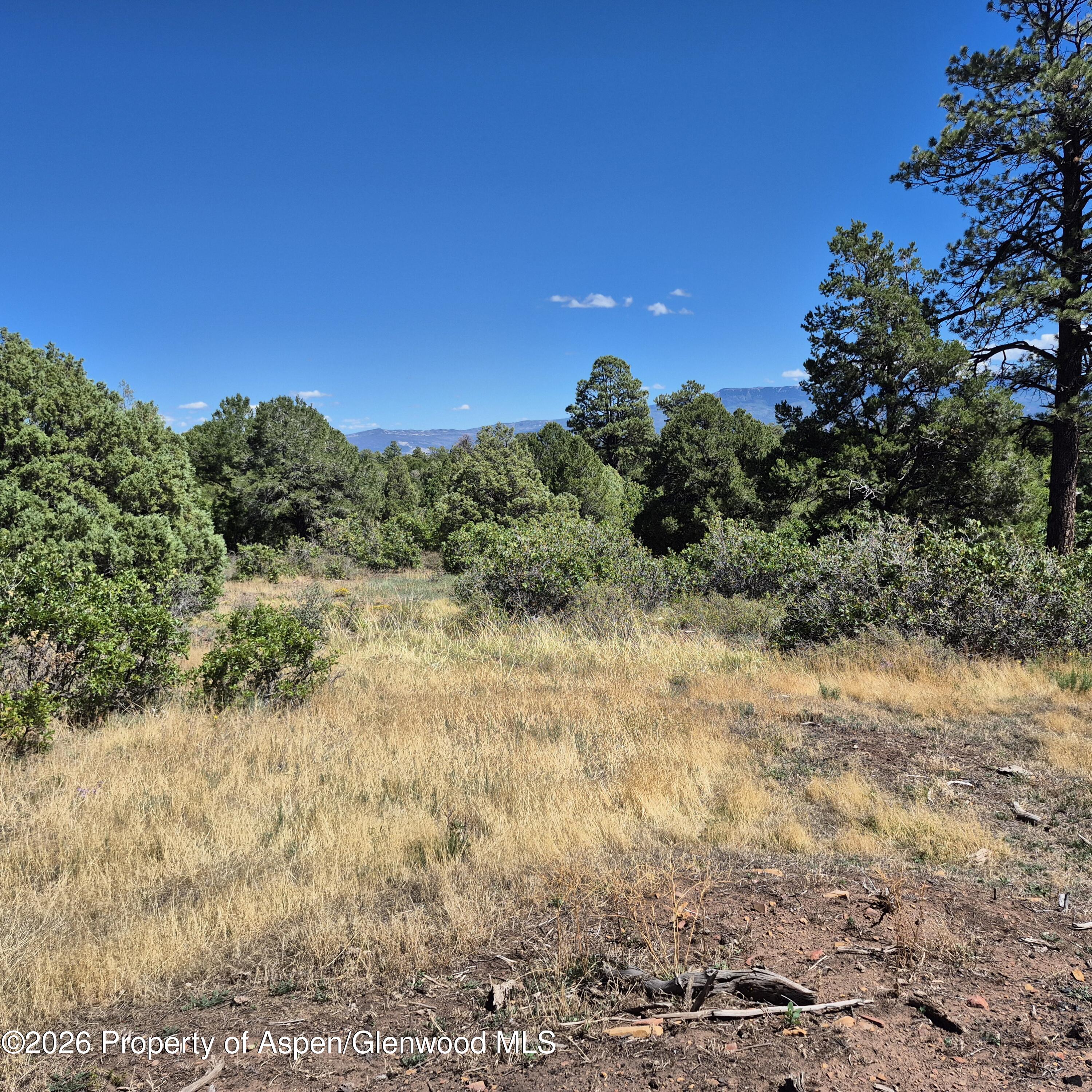 1620 Wildcat Canyon Road Montrose CO 81403