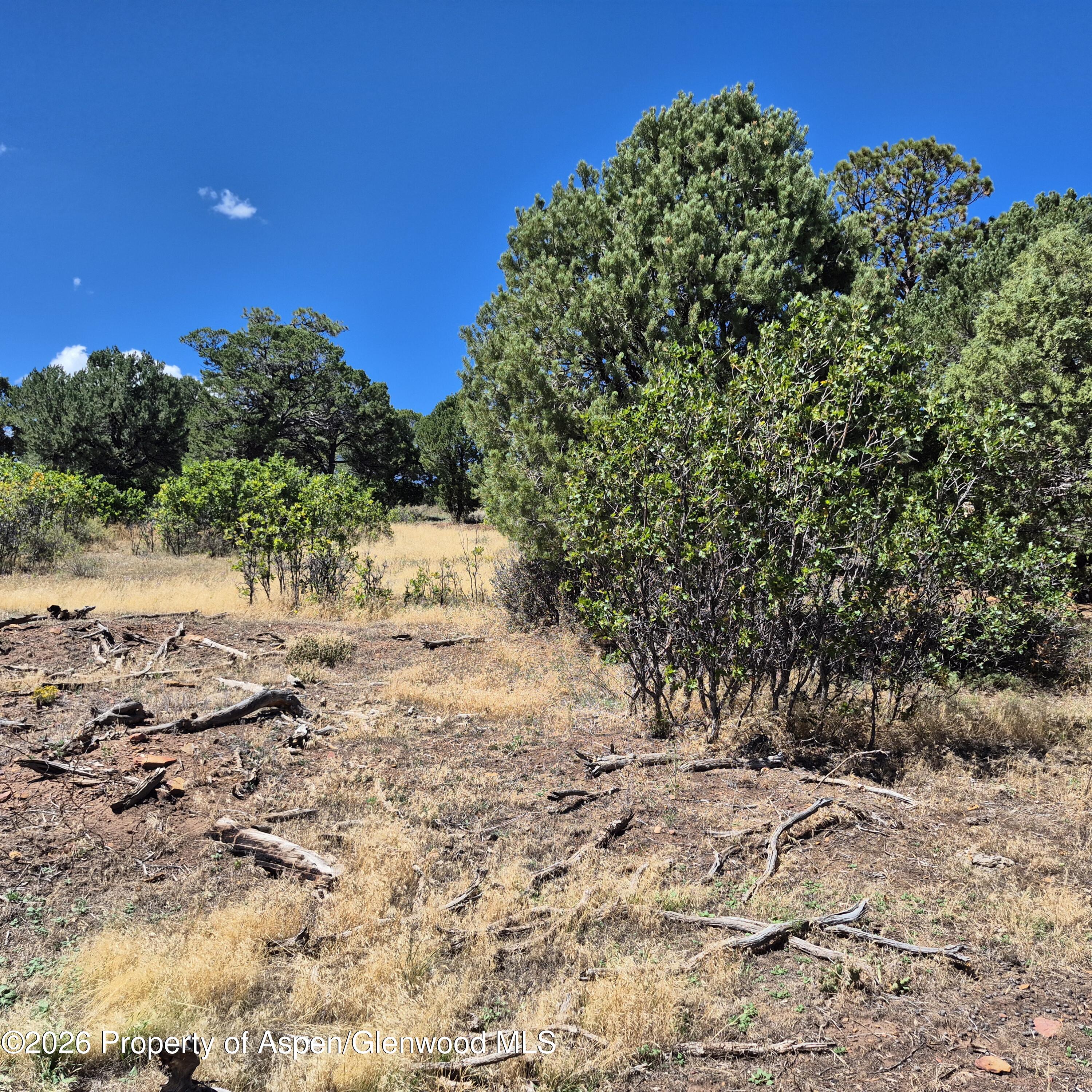 1620 Wildcat Canyon Road Montrose CO 81403