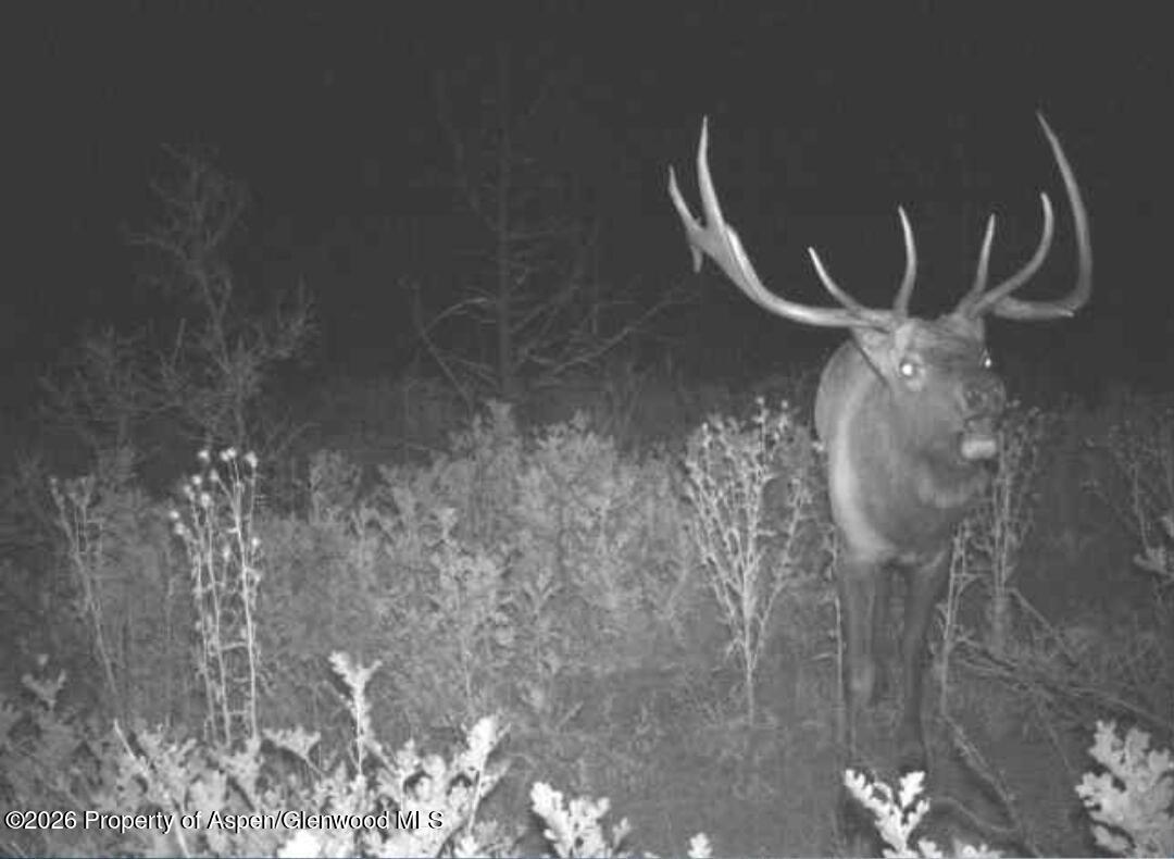 1620 Wildcat Canyon Road Montrose CO 81403