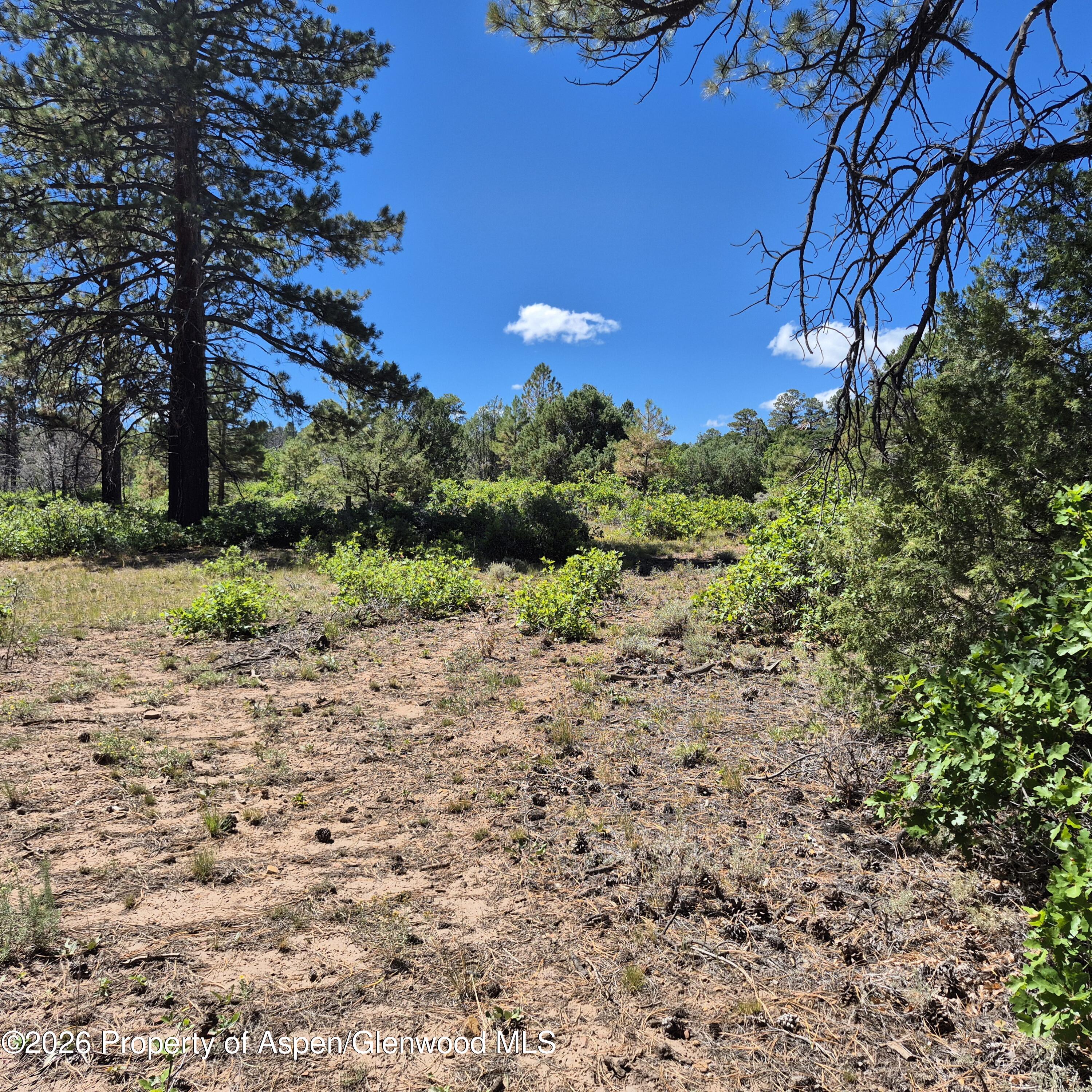 1620 Wildcat Canyon Road Montrose CO 81403