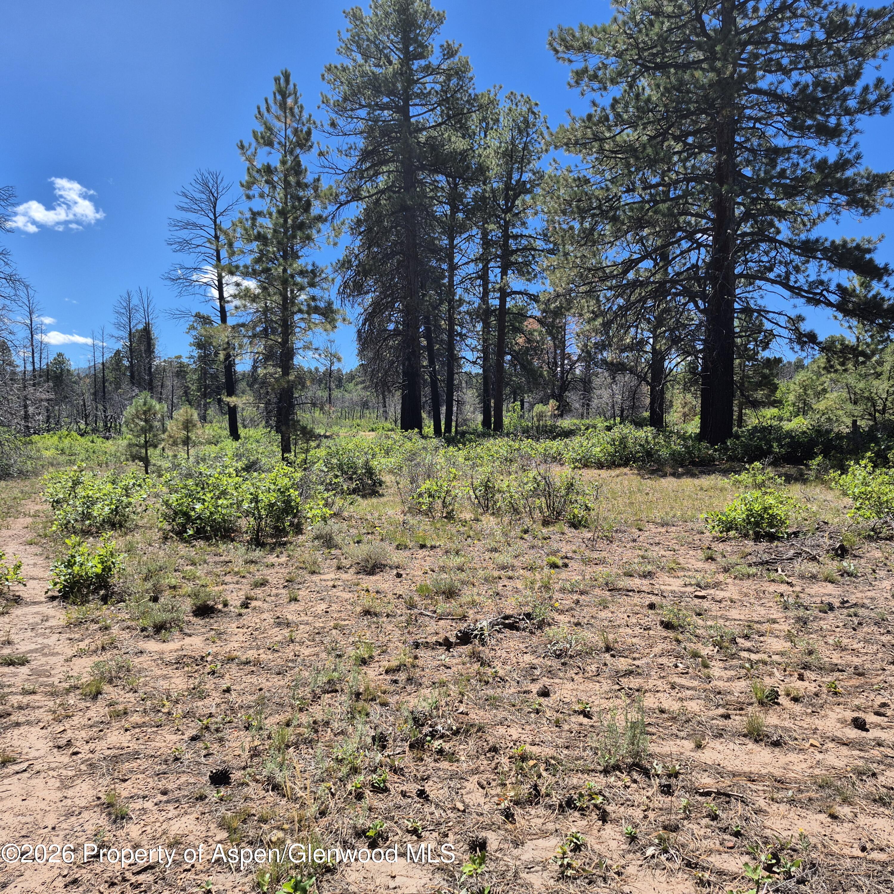 1620 Wildcat Canyon Road Montrose CO 81403