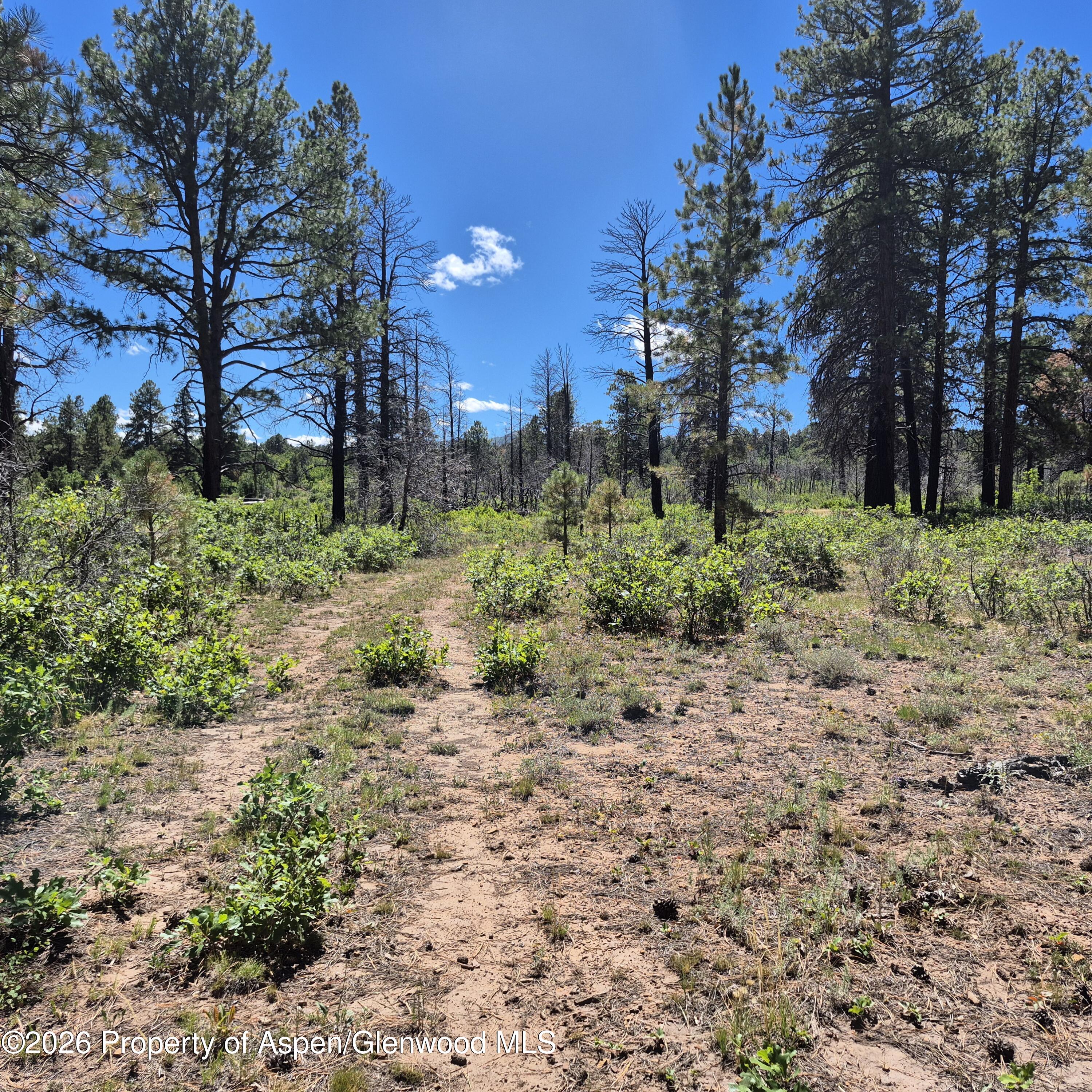 1620 Wildcat Canyon Road Montrose CO 81403