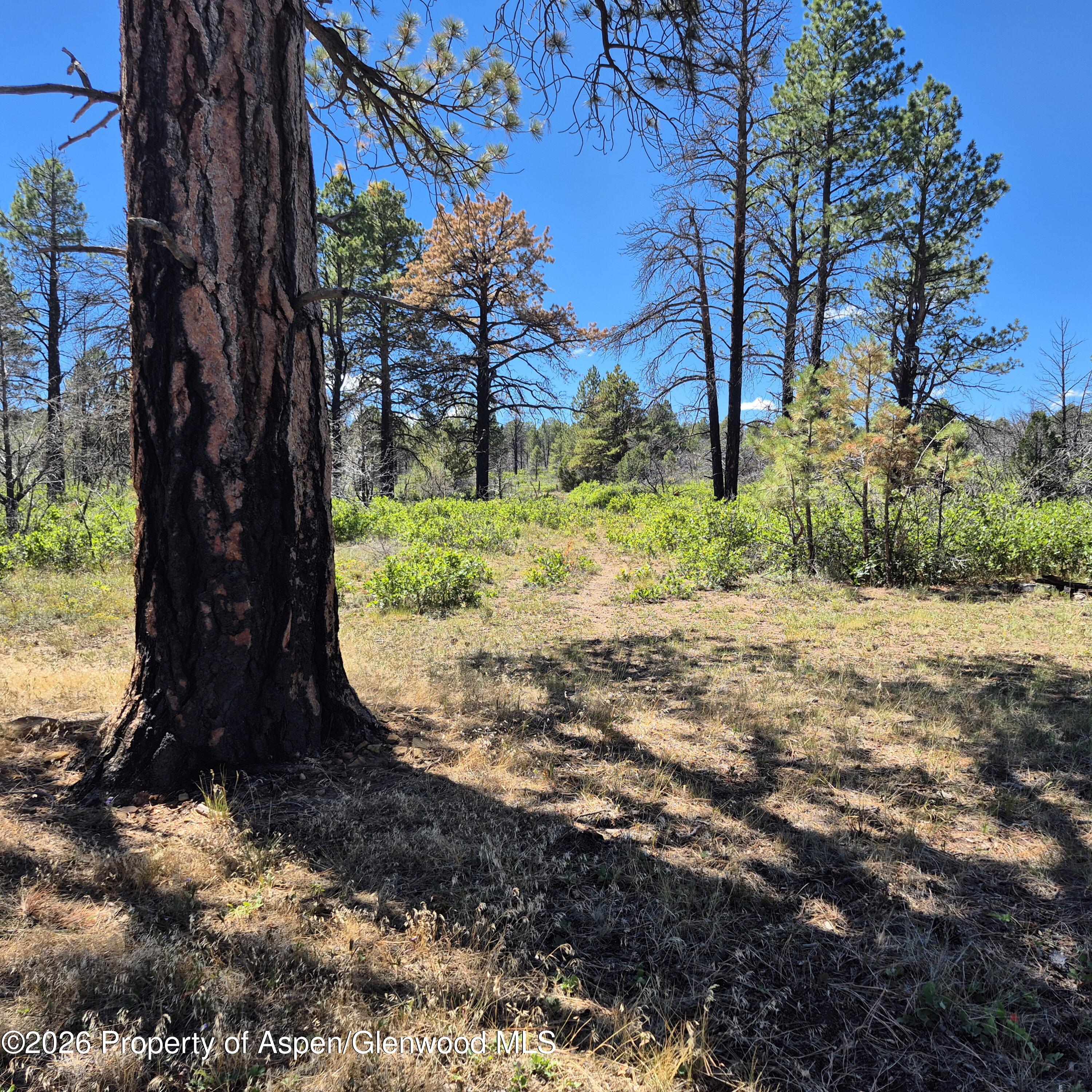 1620 Wildcat Canyon Road Montrose CO 81403