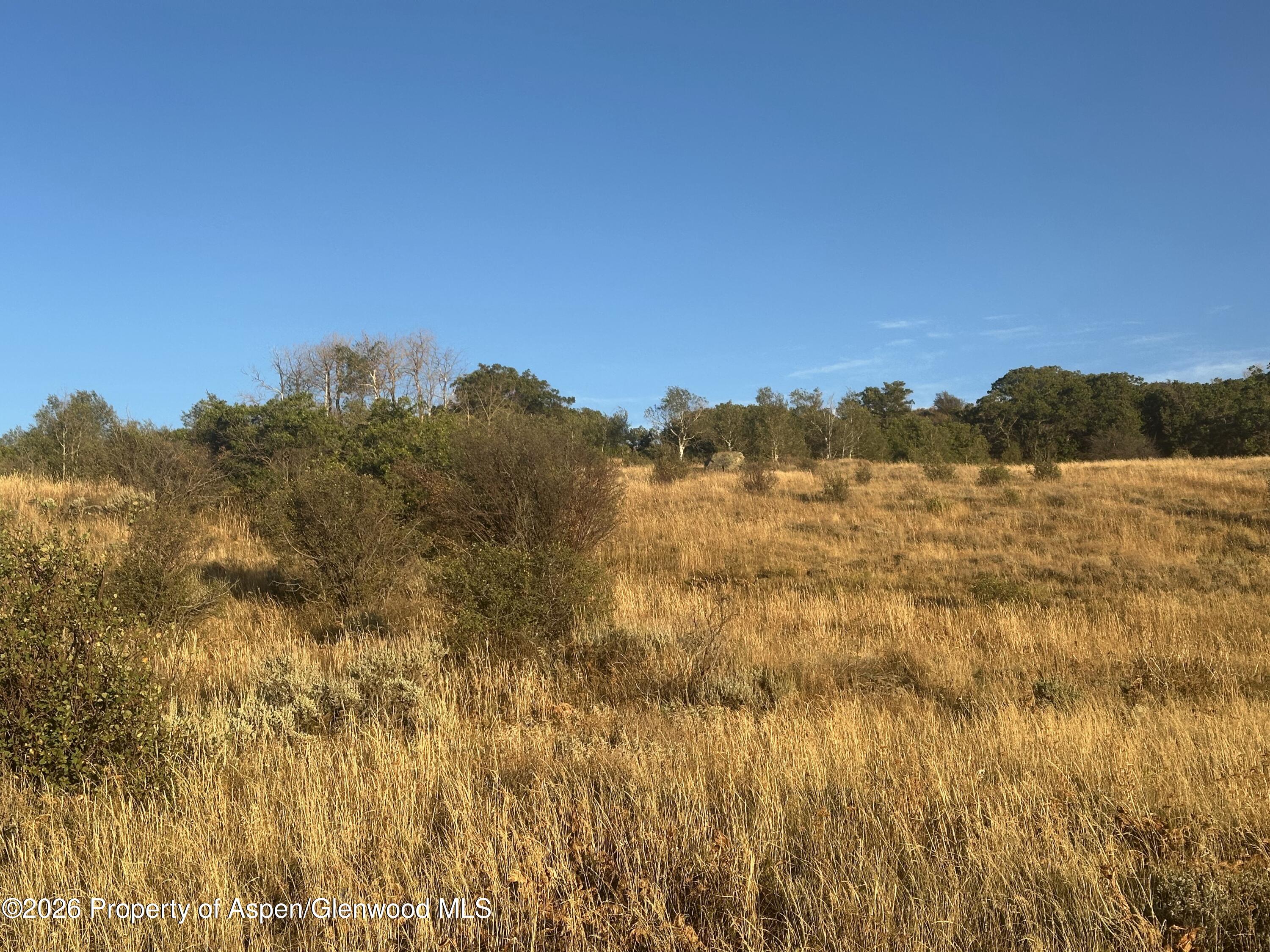 3604 Timberlane Drive Craig CO 81625