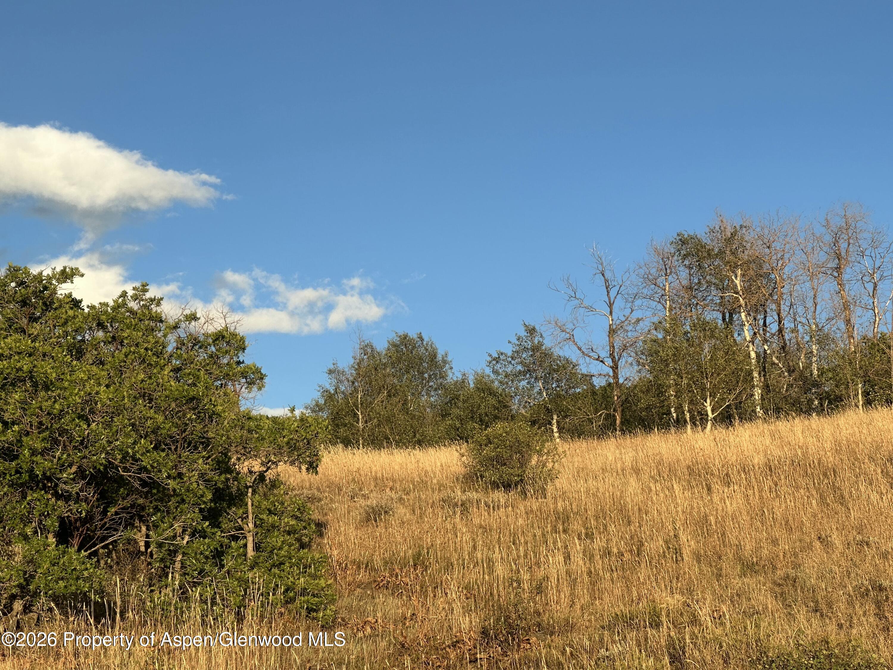 3604 Timberlane Drive Craig CO 81625