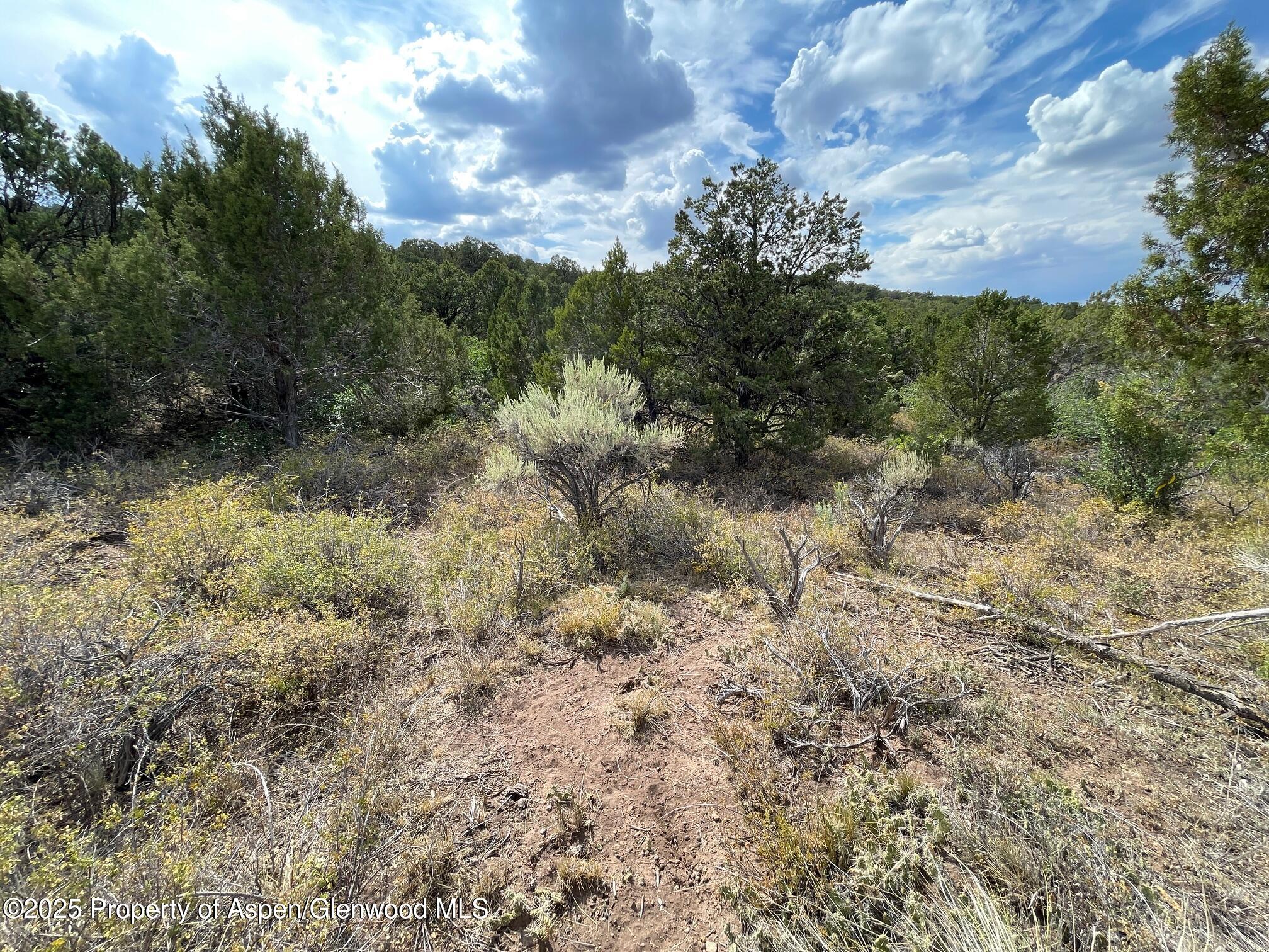 18973 Elk Reserve Road Glade Park CO 81523
