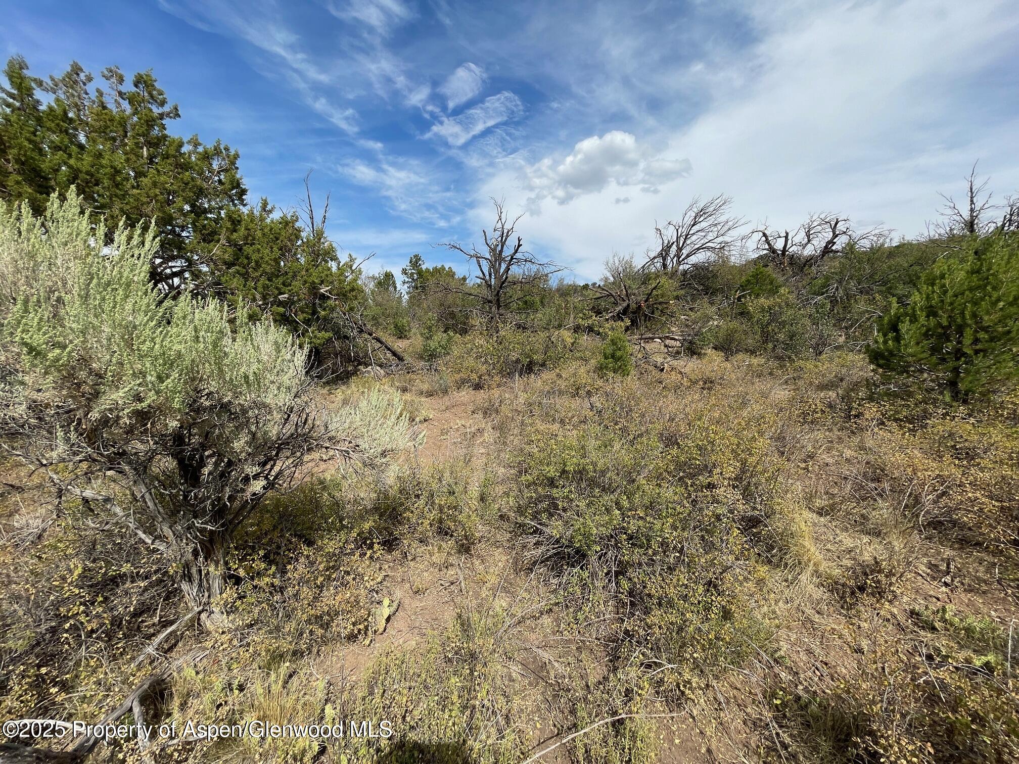 18973 Elk Reserve Road Glade Park CO 81523