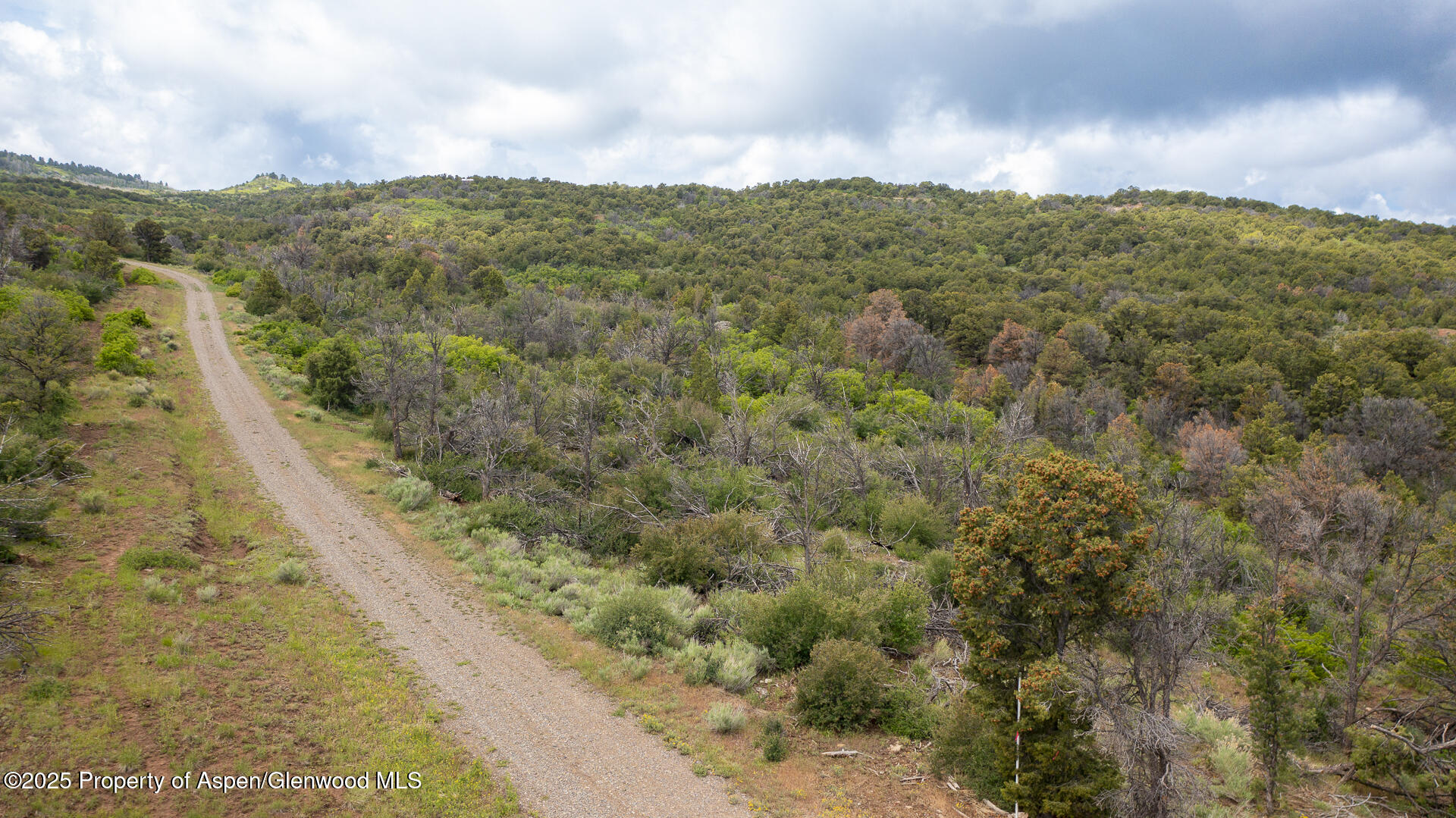 18973 Elk Reserve Road Glade Park CO 81523