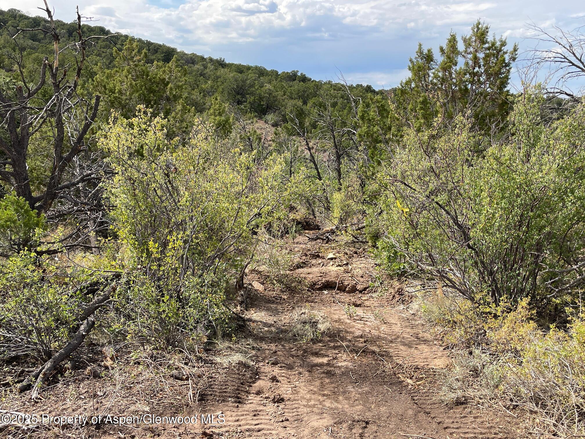 18973 Elk Reserve Road Glade Park CO 81523