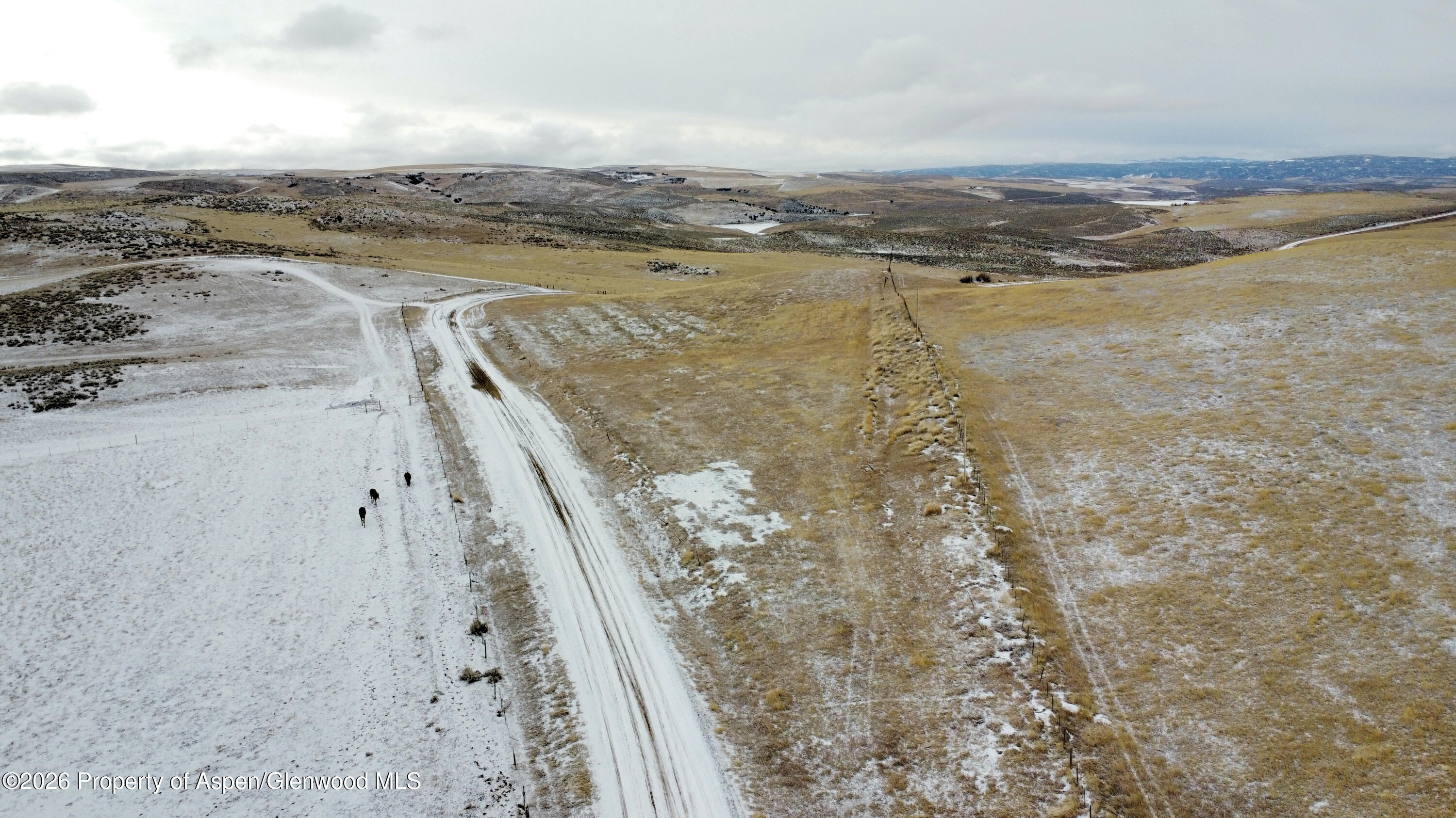 Tbd County Road 29 Craig CO 81625