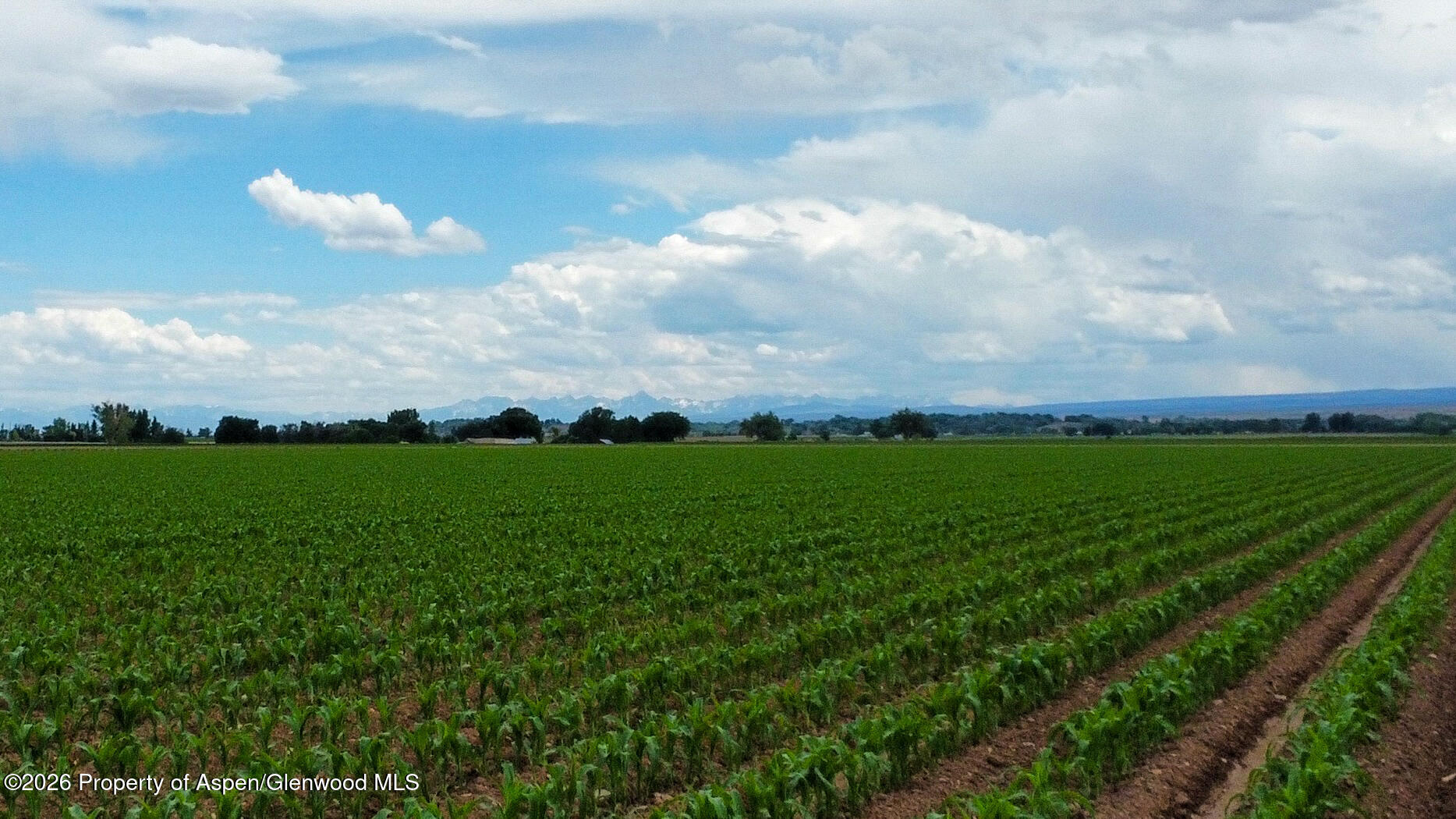 Tbd Banner Road Delta CO 81416