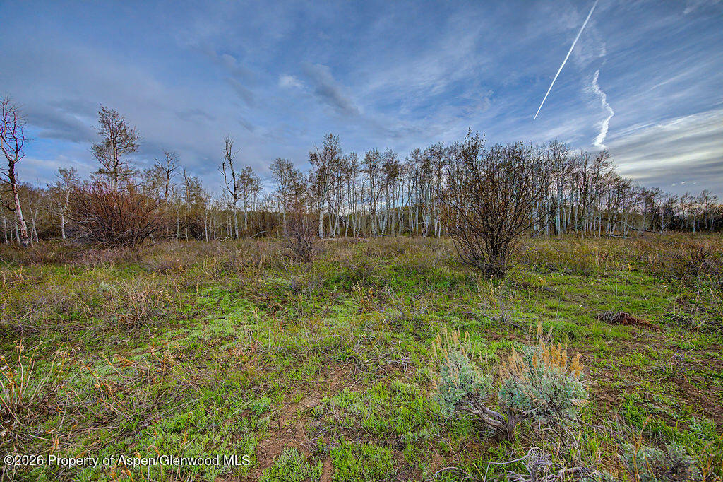 3539 Boulder Drive Craig CO 81625