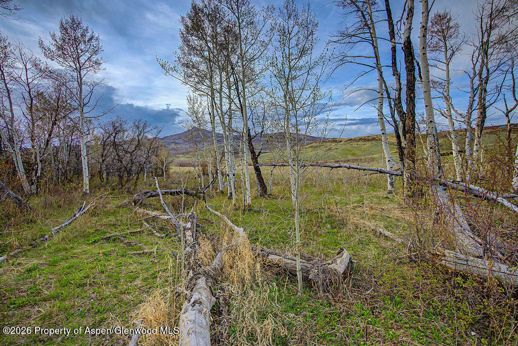 3539 Boulder Drive Craig CO 81625
