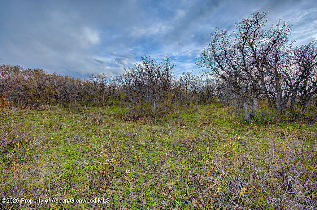3539 Boulder Drive Craig CO 81625