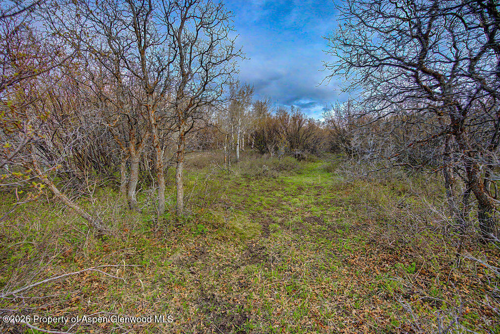 3539 Boulder Drive Craig CO 81625