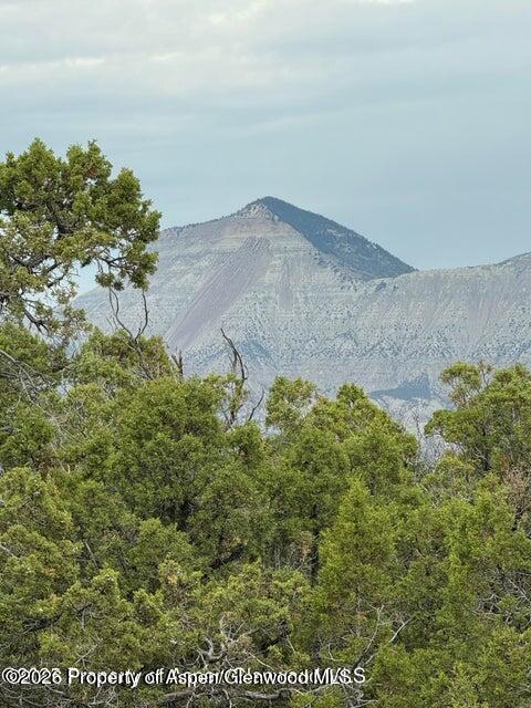 2285 Housetop Mountain Road Parachute CO 81635