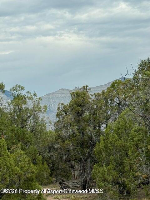 2285 Housetop Mountain Road Parachute CO 81635