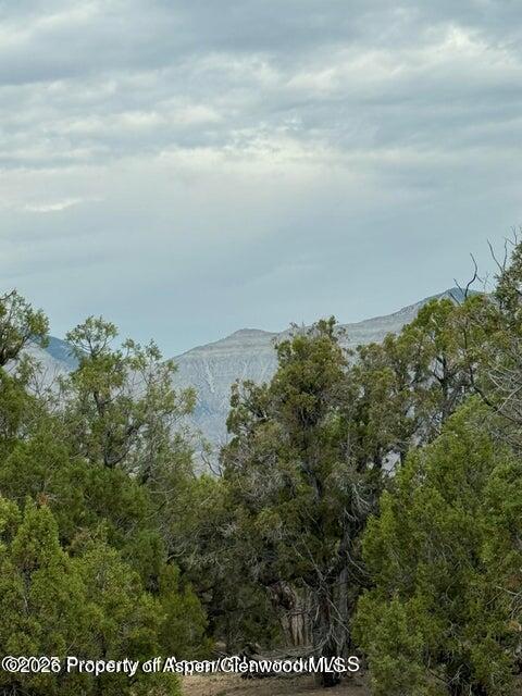 2285 Housetop Mountain Road Parachute CO 81635