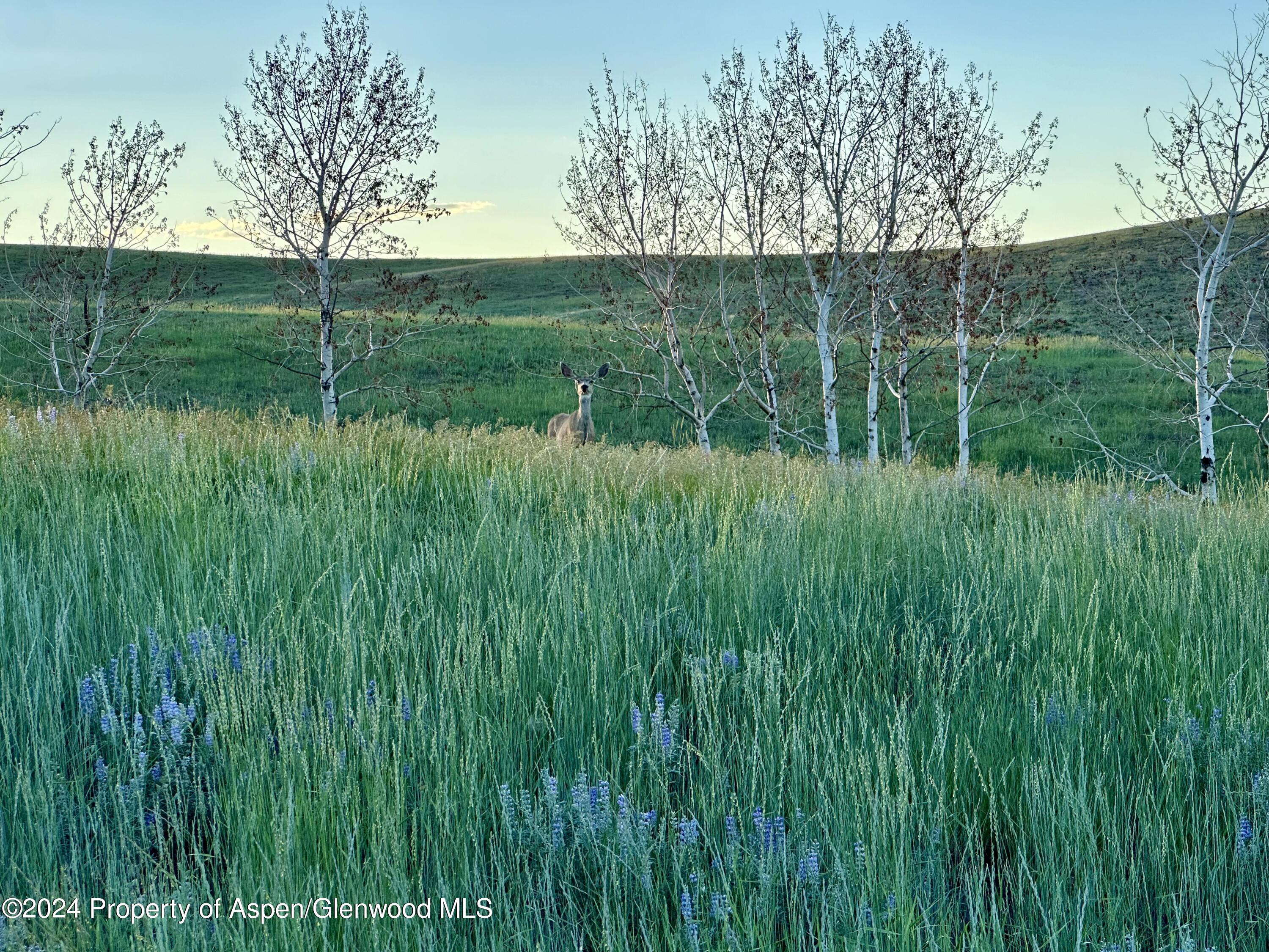 Tbd County Road 5 Craig CO 81625