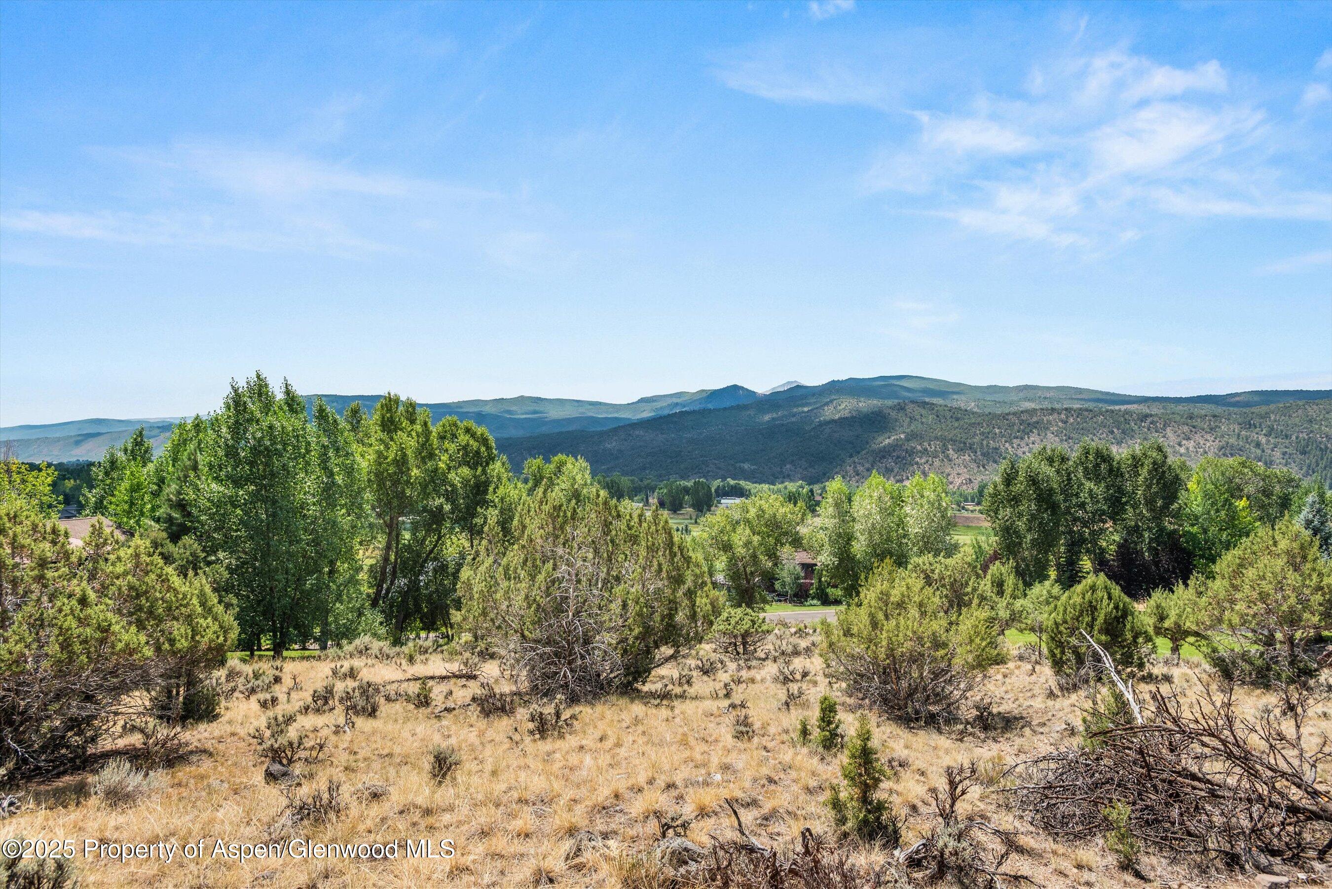 604 Larkspur Drive Carbondale CO 81623