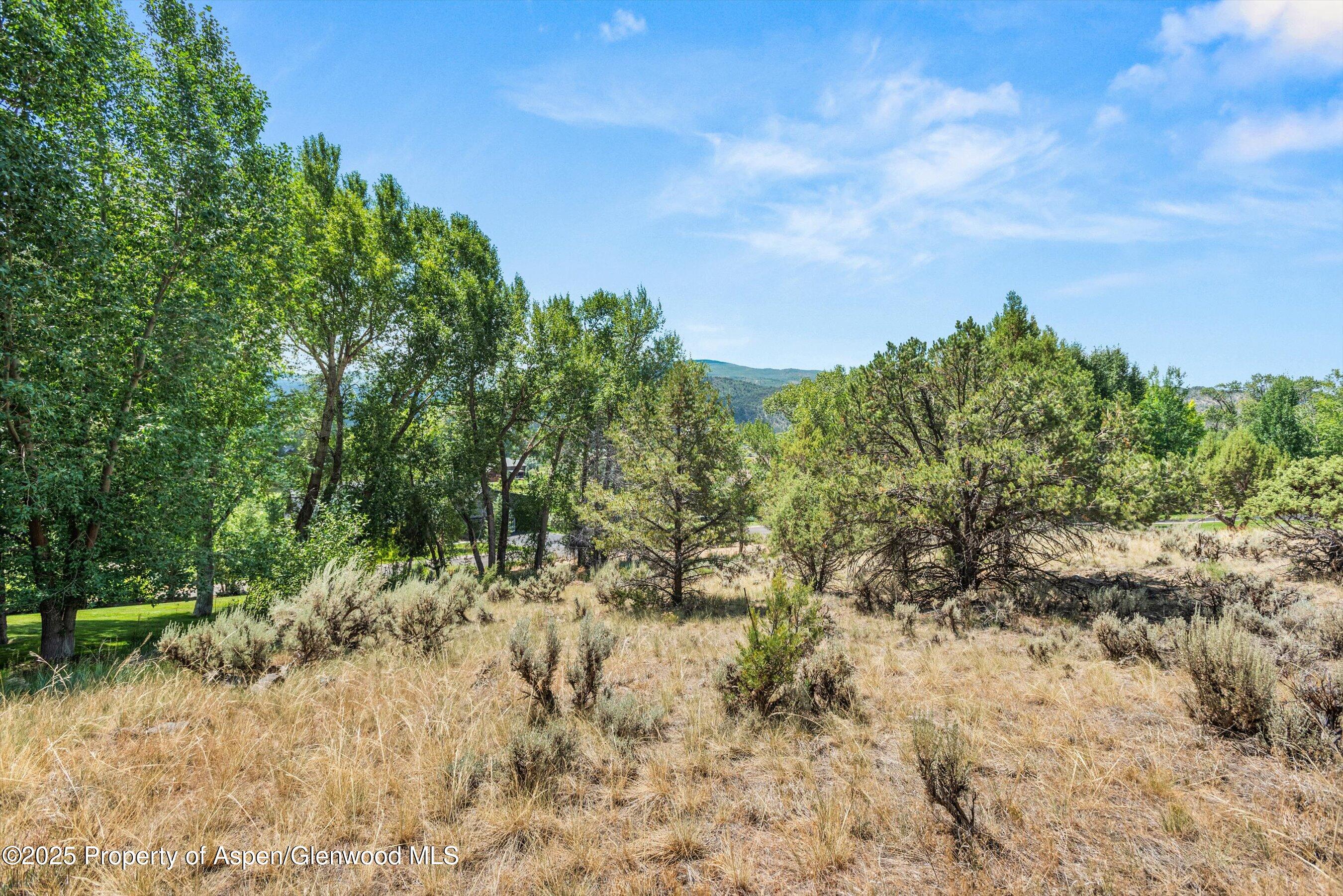 604 Larkspur Drive Carbondale CO 81623