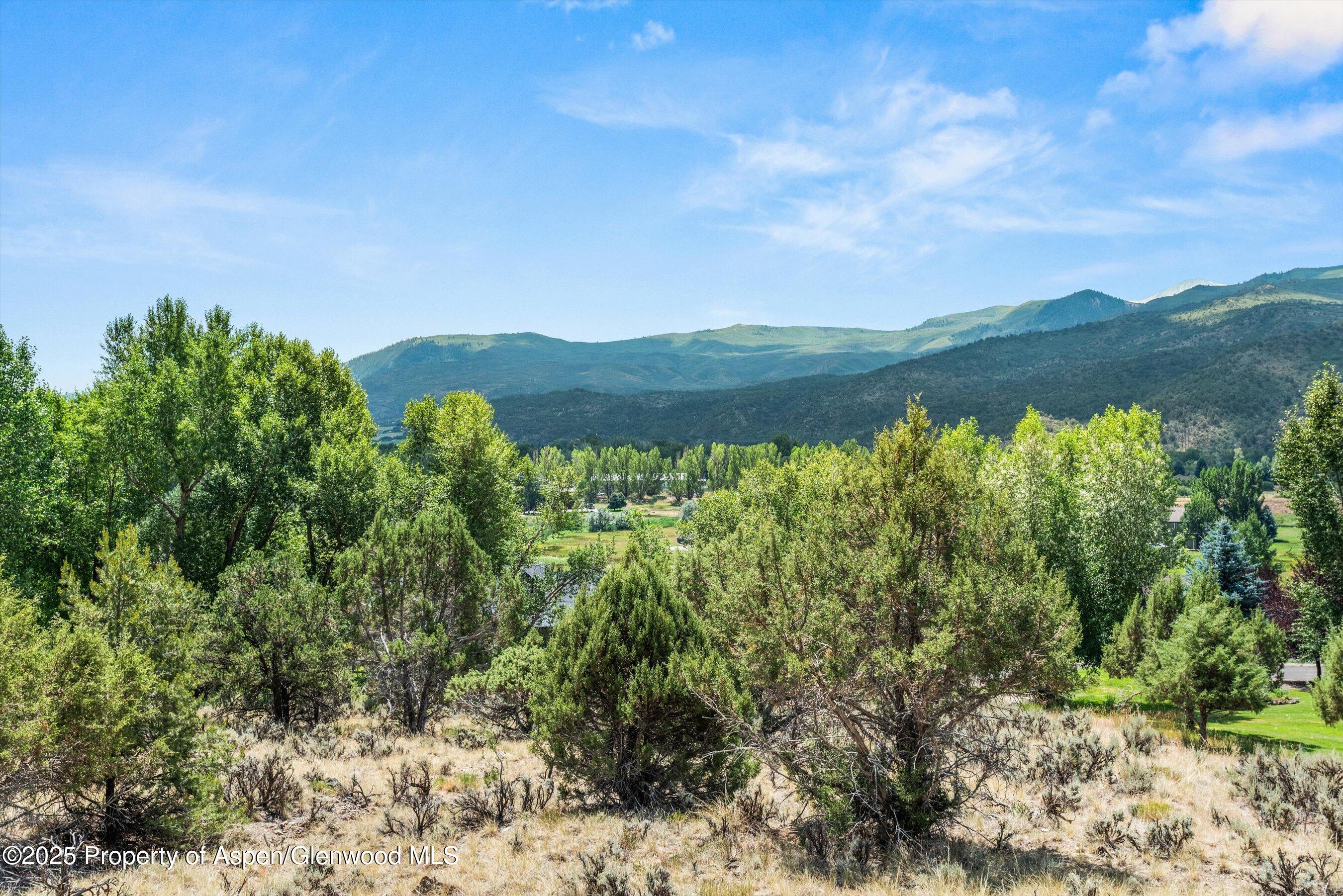 604 Larkspur Drive Carbondale CO 81623