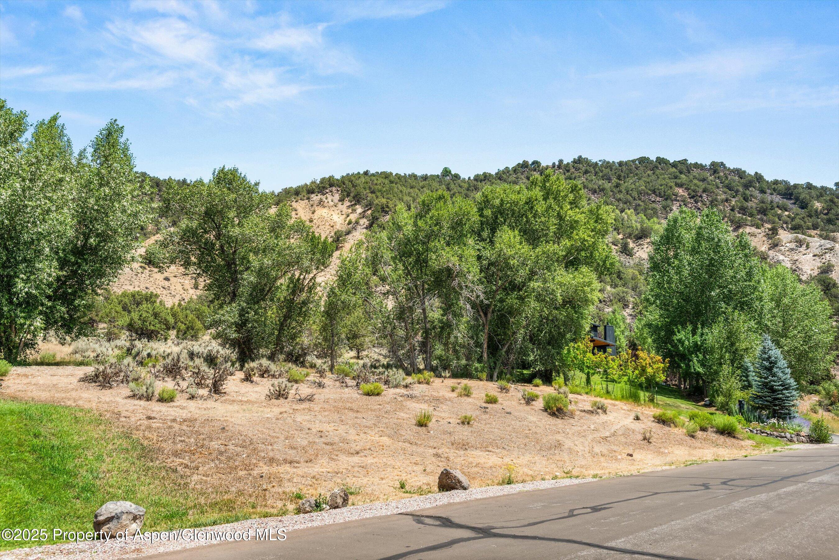 604 Larkspur Drive Carbondale CO 81623