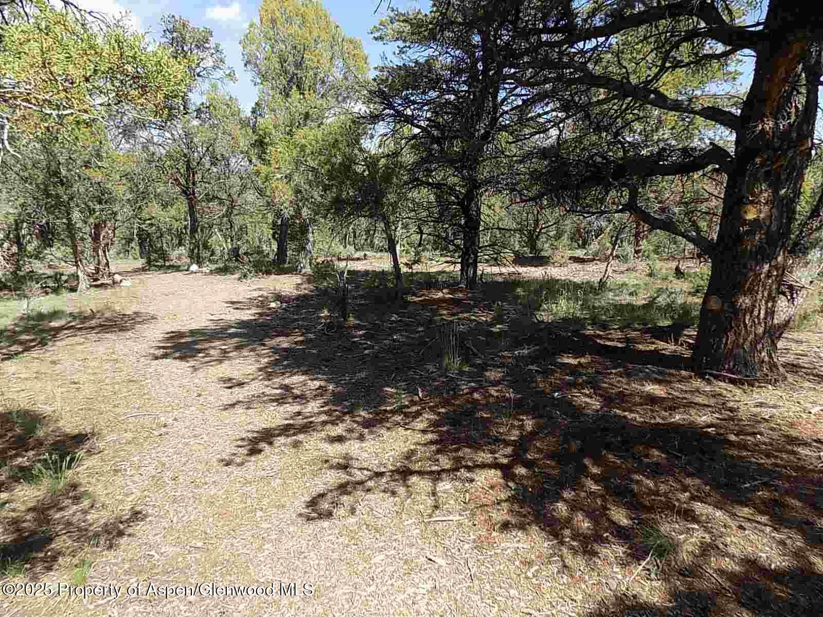 0030 Little Wood Lane Glenwood Springs CO 81601