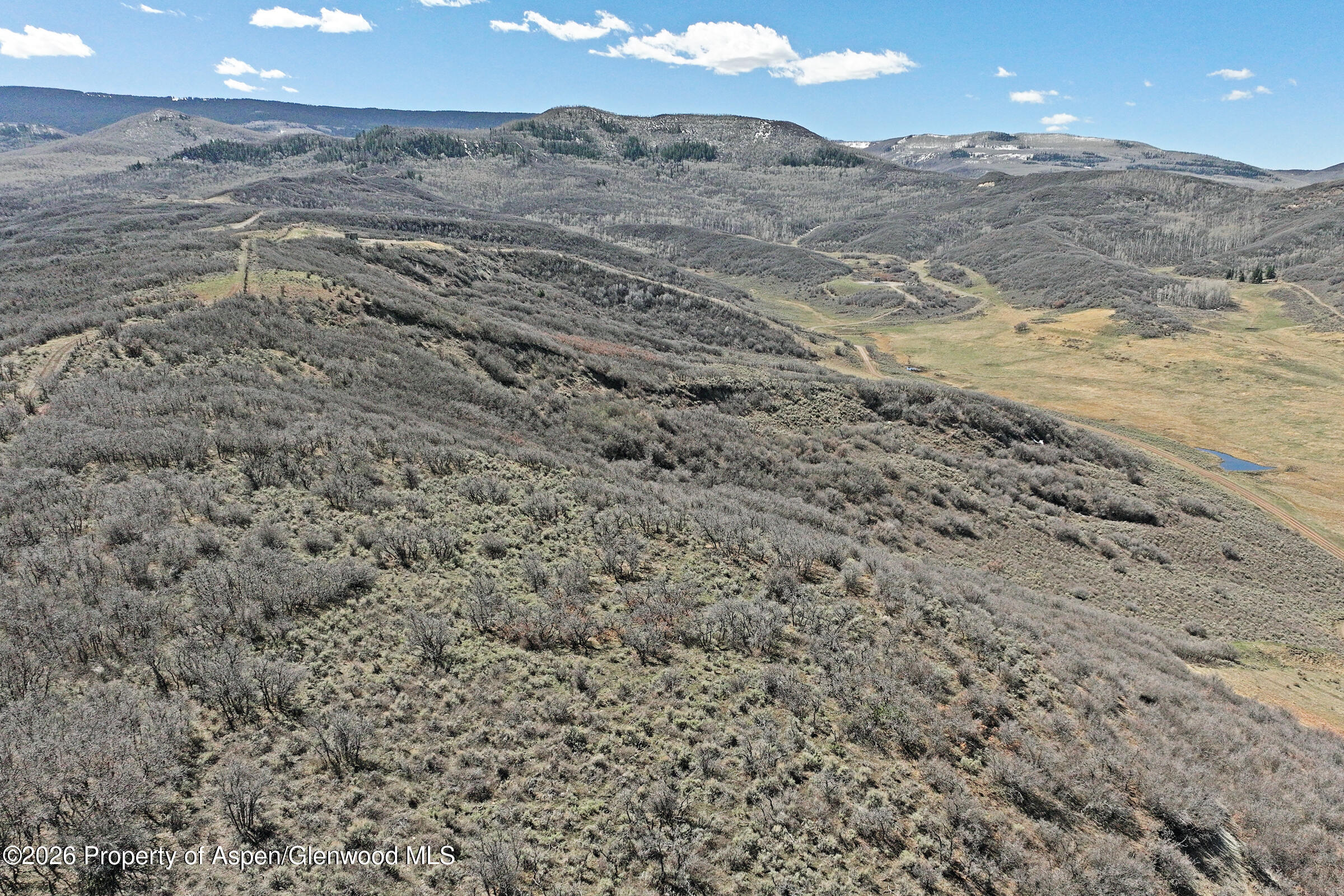 Tbd Tbd Collbran CO 81624