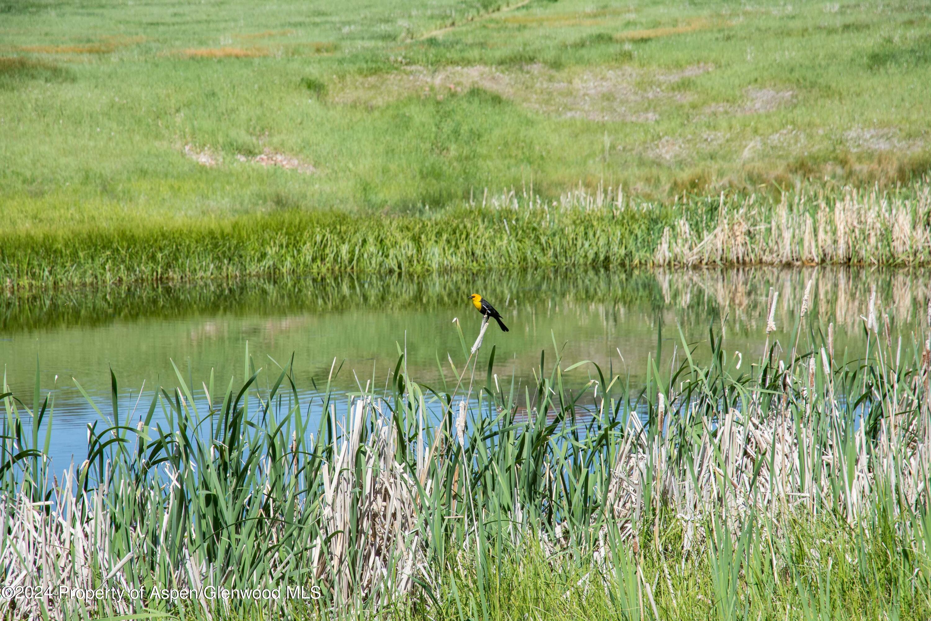 Tbd Fisher Creek Lane Carbondale CO 81623