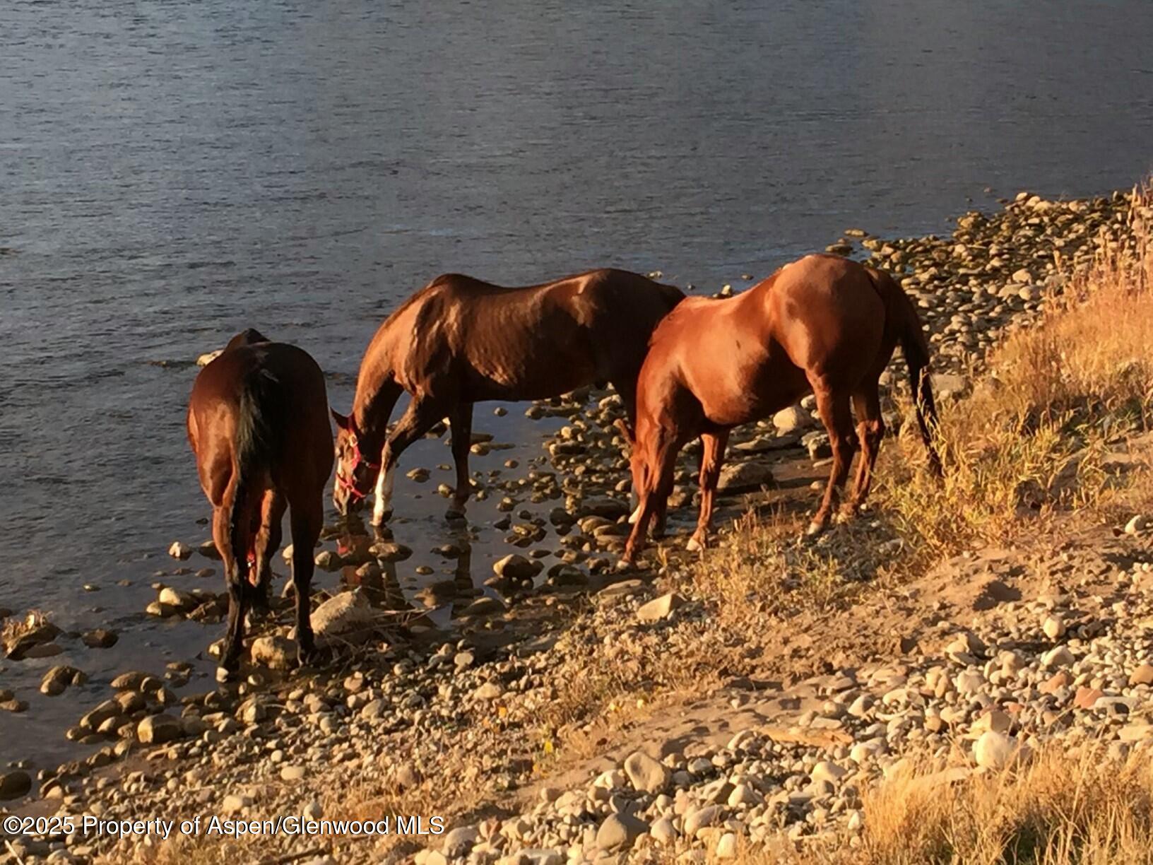 Tbd County Road 301 Parachute CO 81635