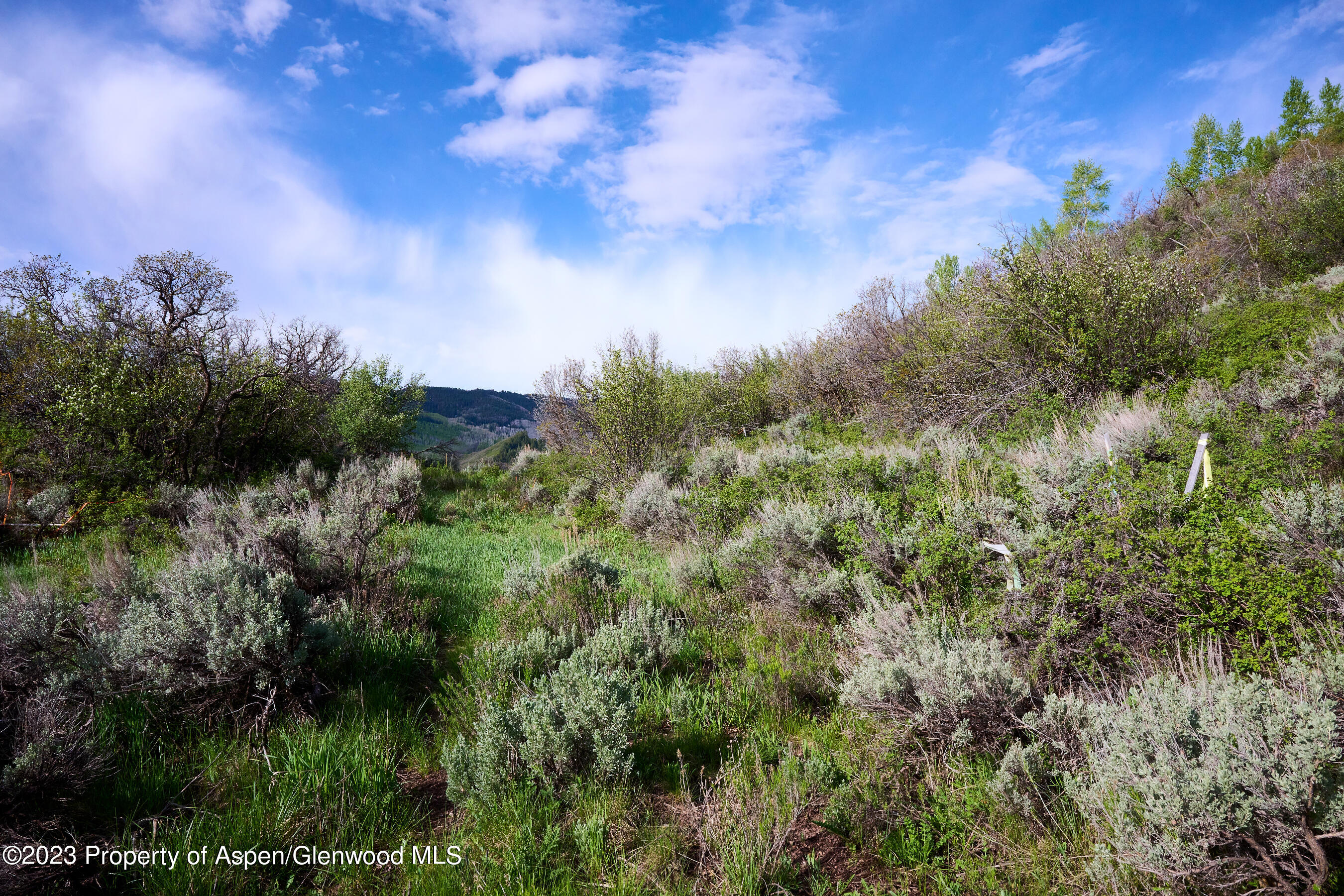 51 Shield O Road Snowmass CO 81654