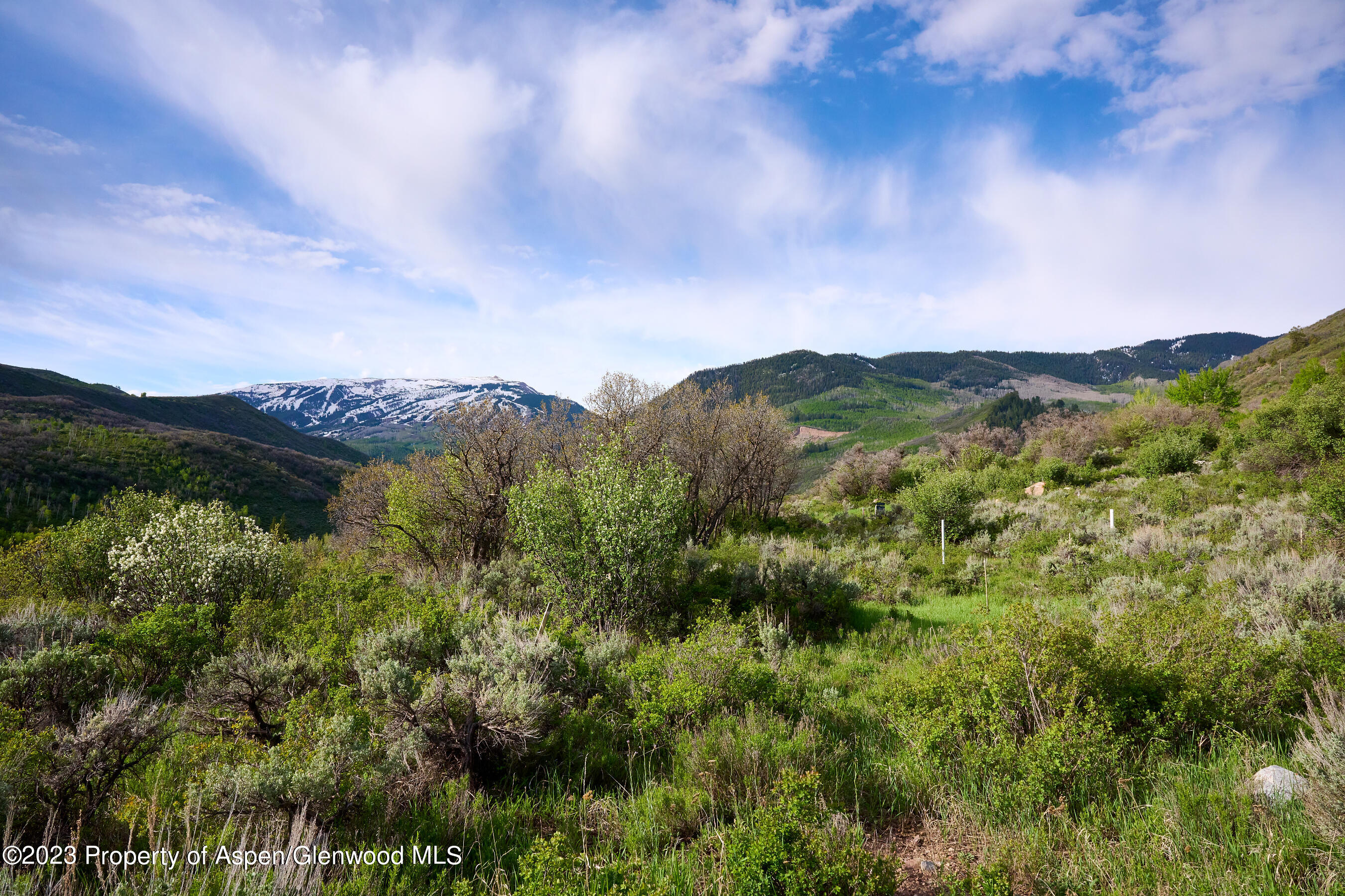 51 Shield O Road Snowmass CO 81654