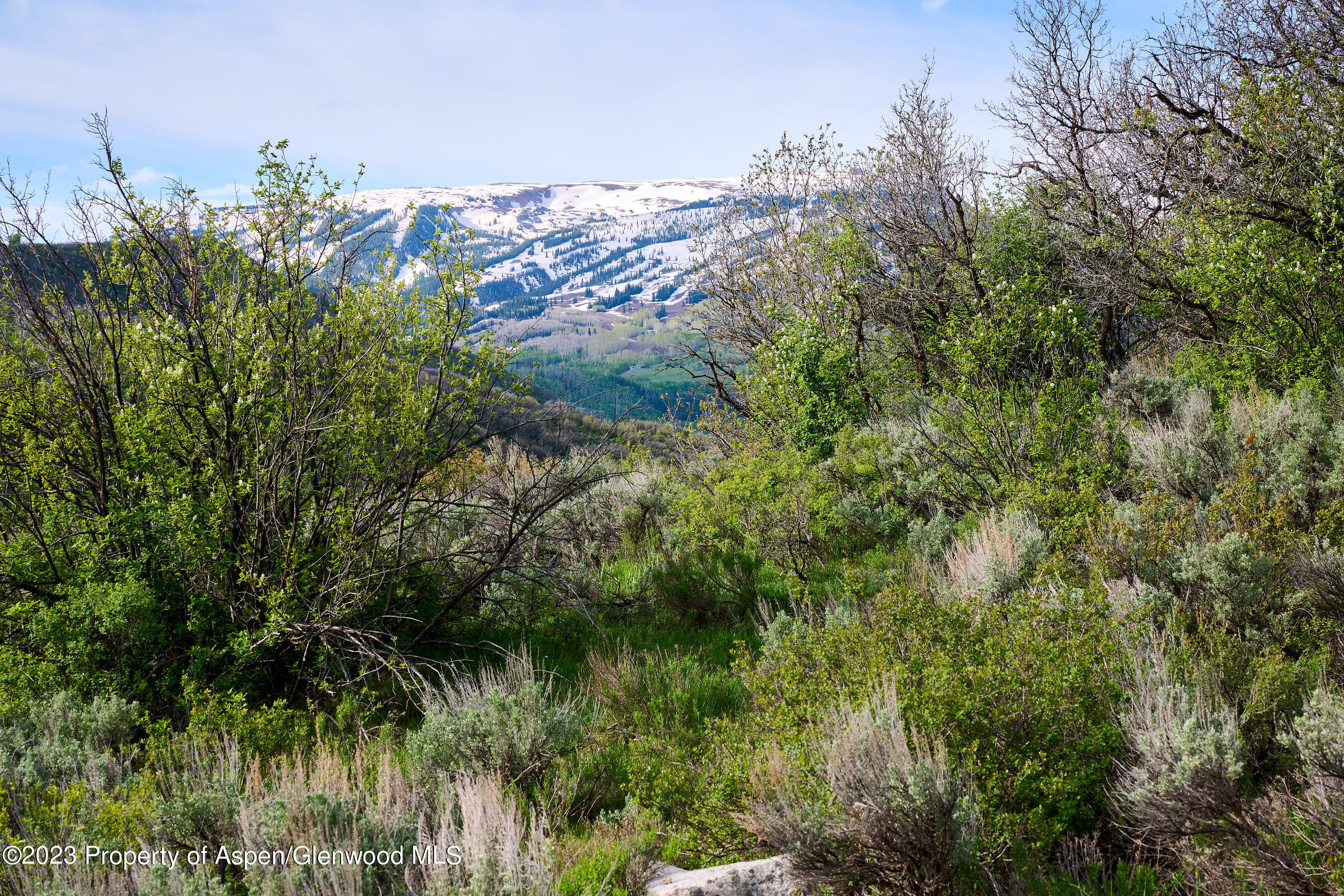 51 Shield O Road Snowmass CO 81654