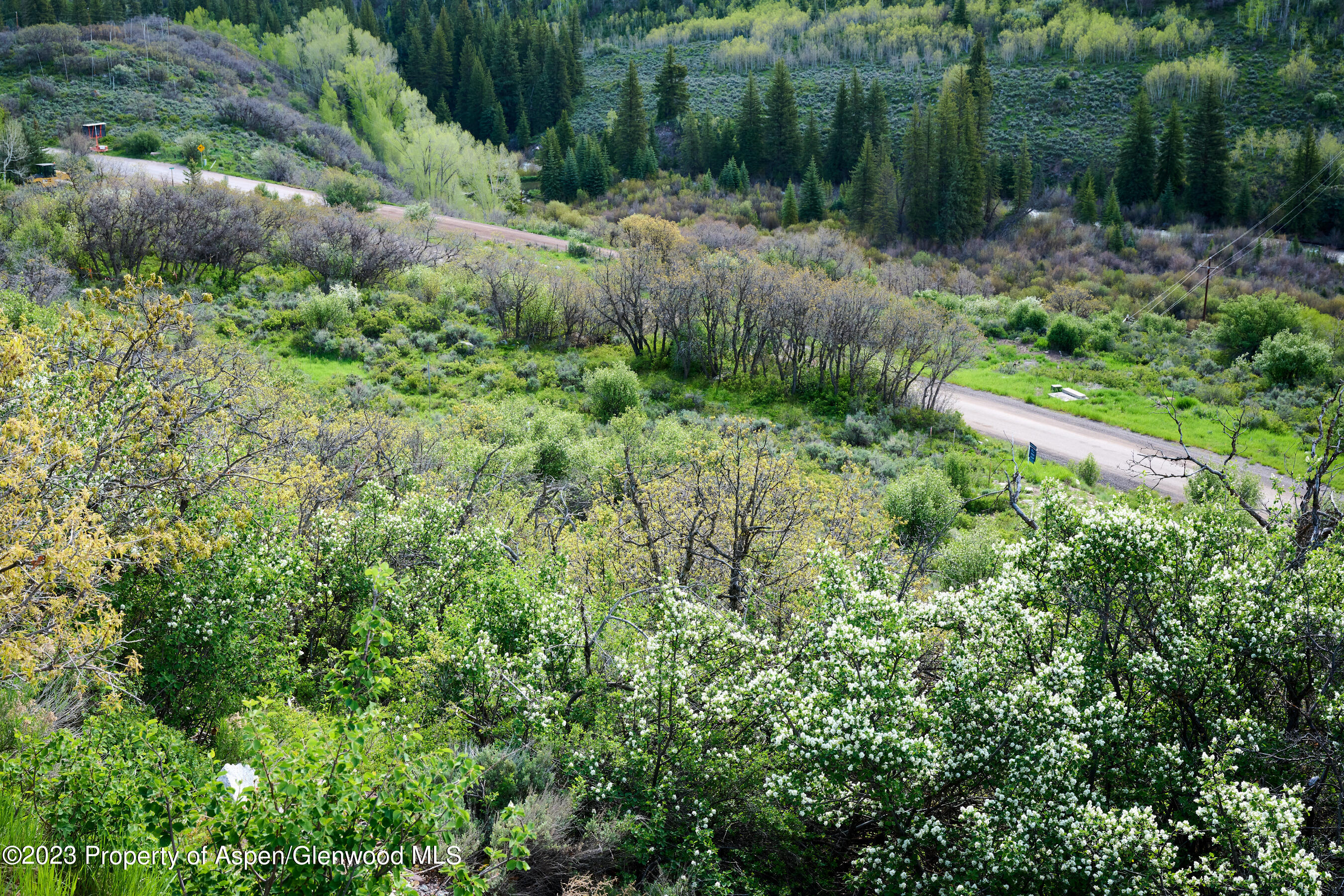 51 Shield O Road Snowmass CO 81654