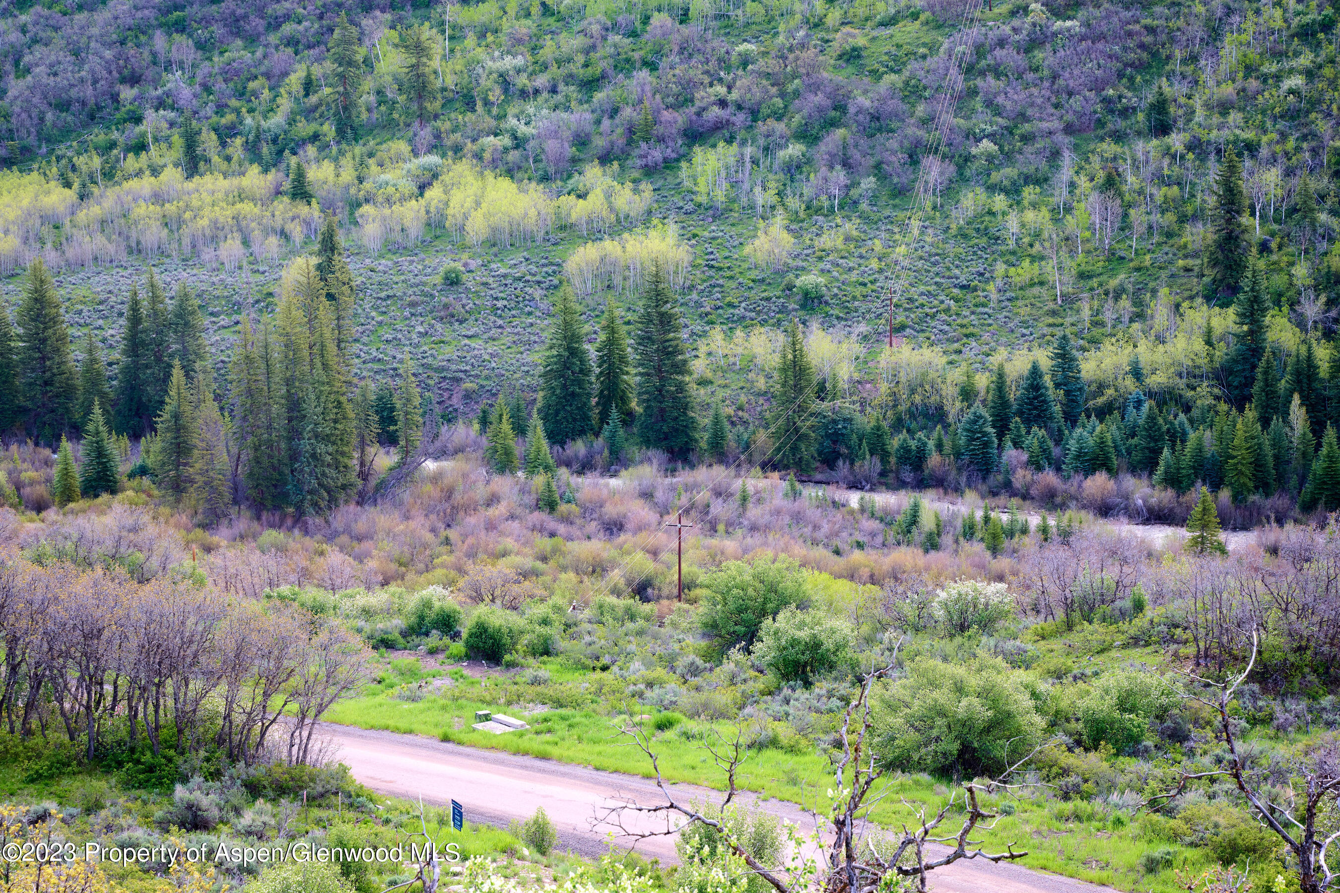 51 Shield O Road Snowmass CO 81654